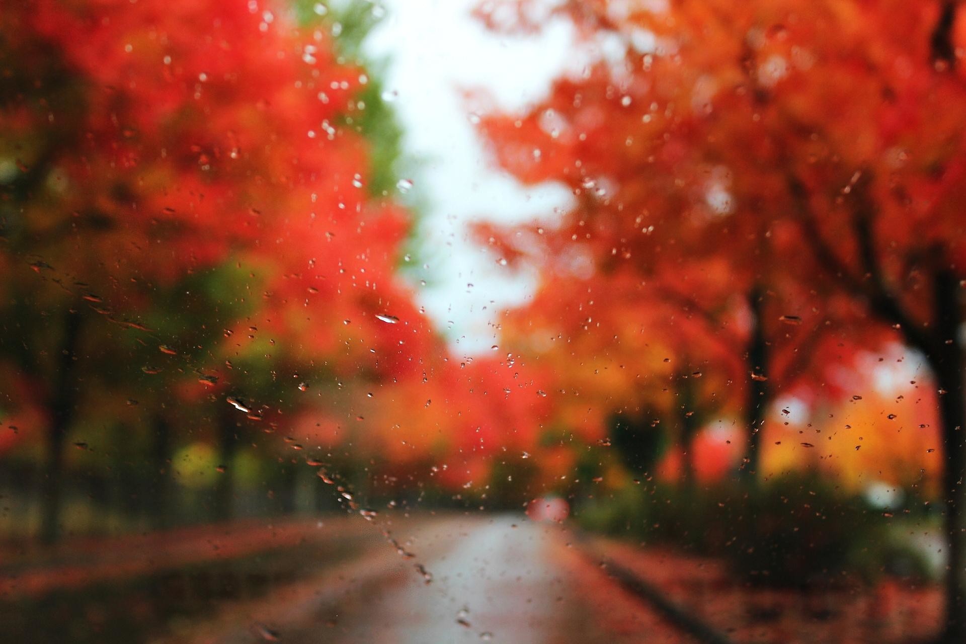 1920x1280 Autumn Rain