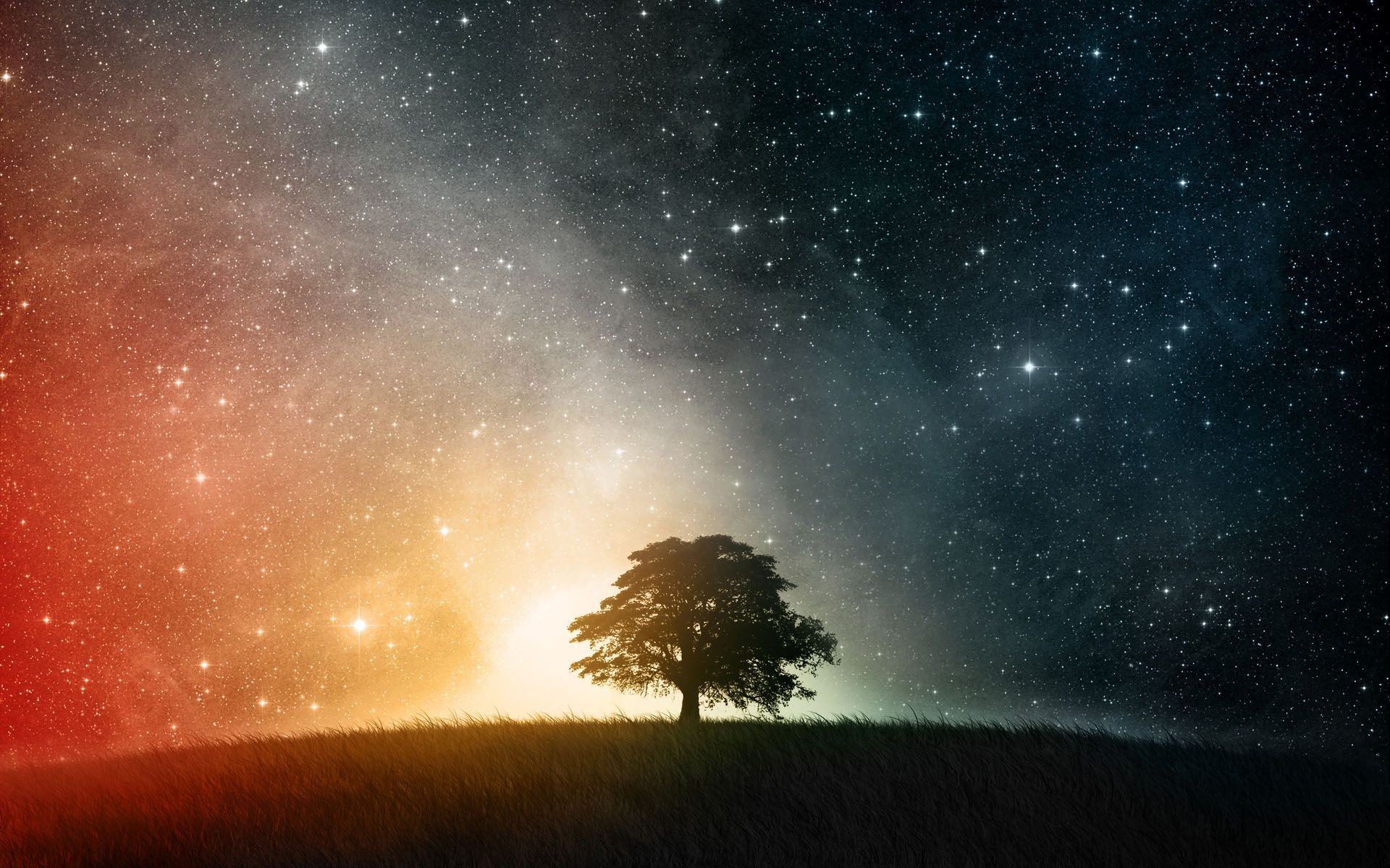 1920x1200 Download Awesome Pc Wallpaper  - Full HD Wall Â· Beautiful Tree  Shadow on Starry Sky -  - Full HD 16/10 .