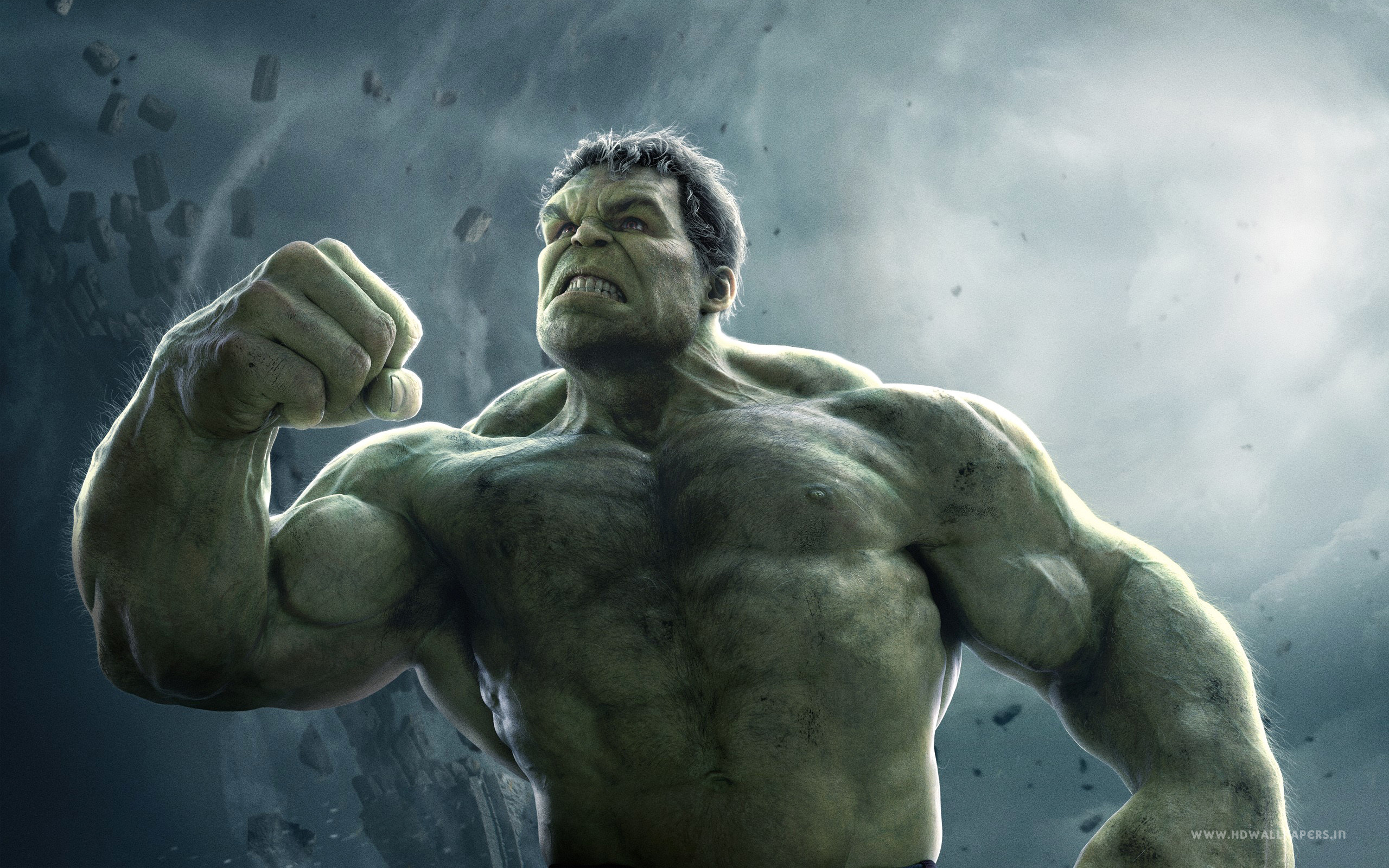2560x1600 Avengers Age of Ultron Hulk