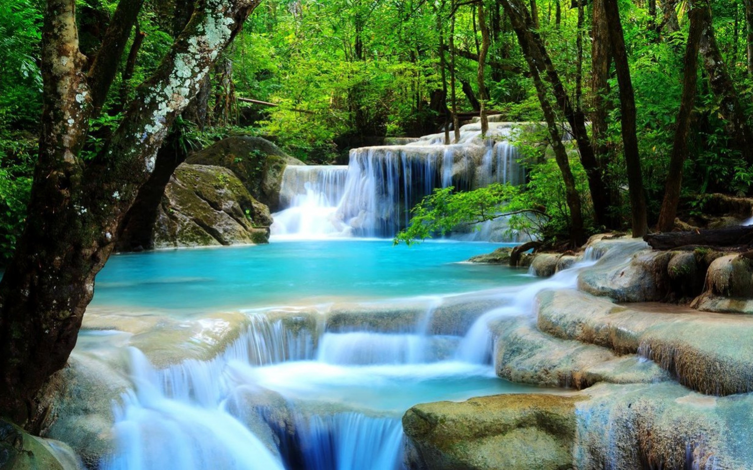 2560x1600 3d waterfall live wallpaper which is under the waterfall wallpapers .