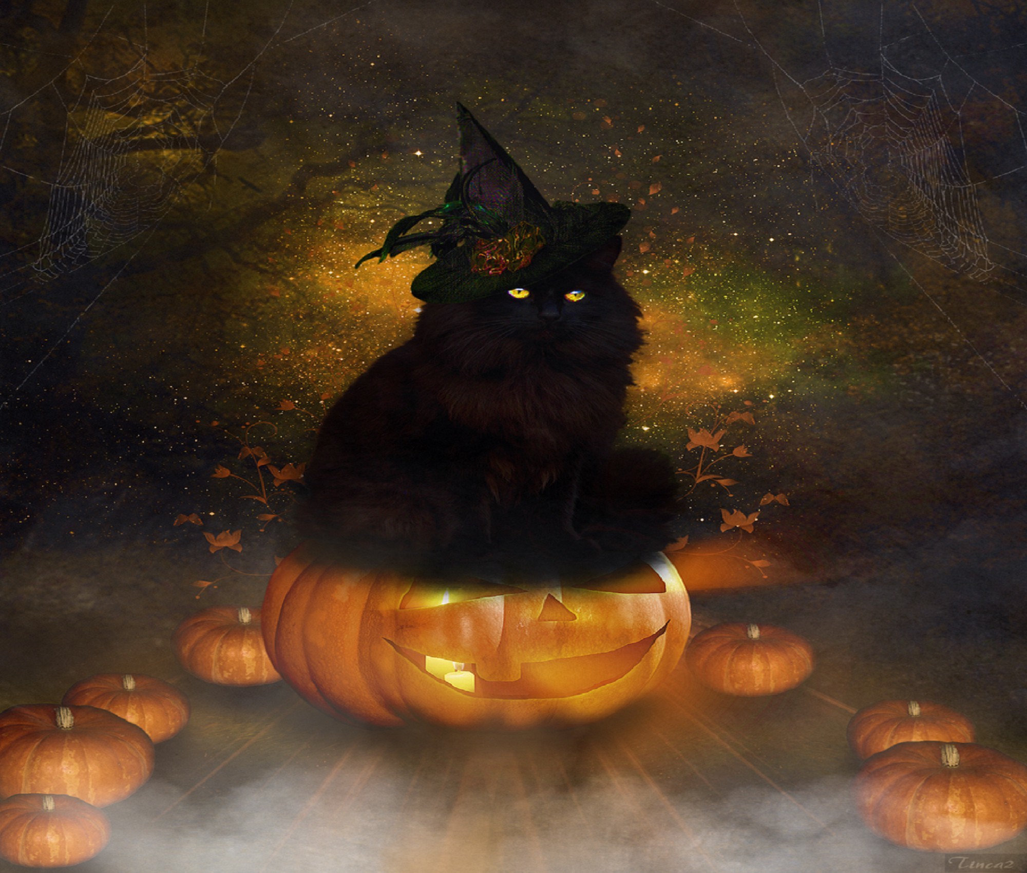 2000x1700 Cats: Halloween Black Cat Creative Pre- Lovely Fantasy .