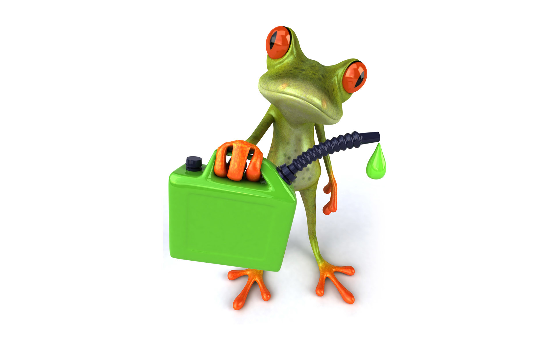 1920x1200 Cartoon Frog Desktop Wallpaper 