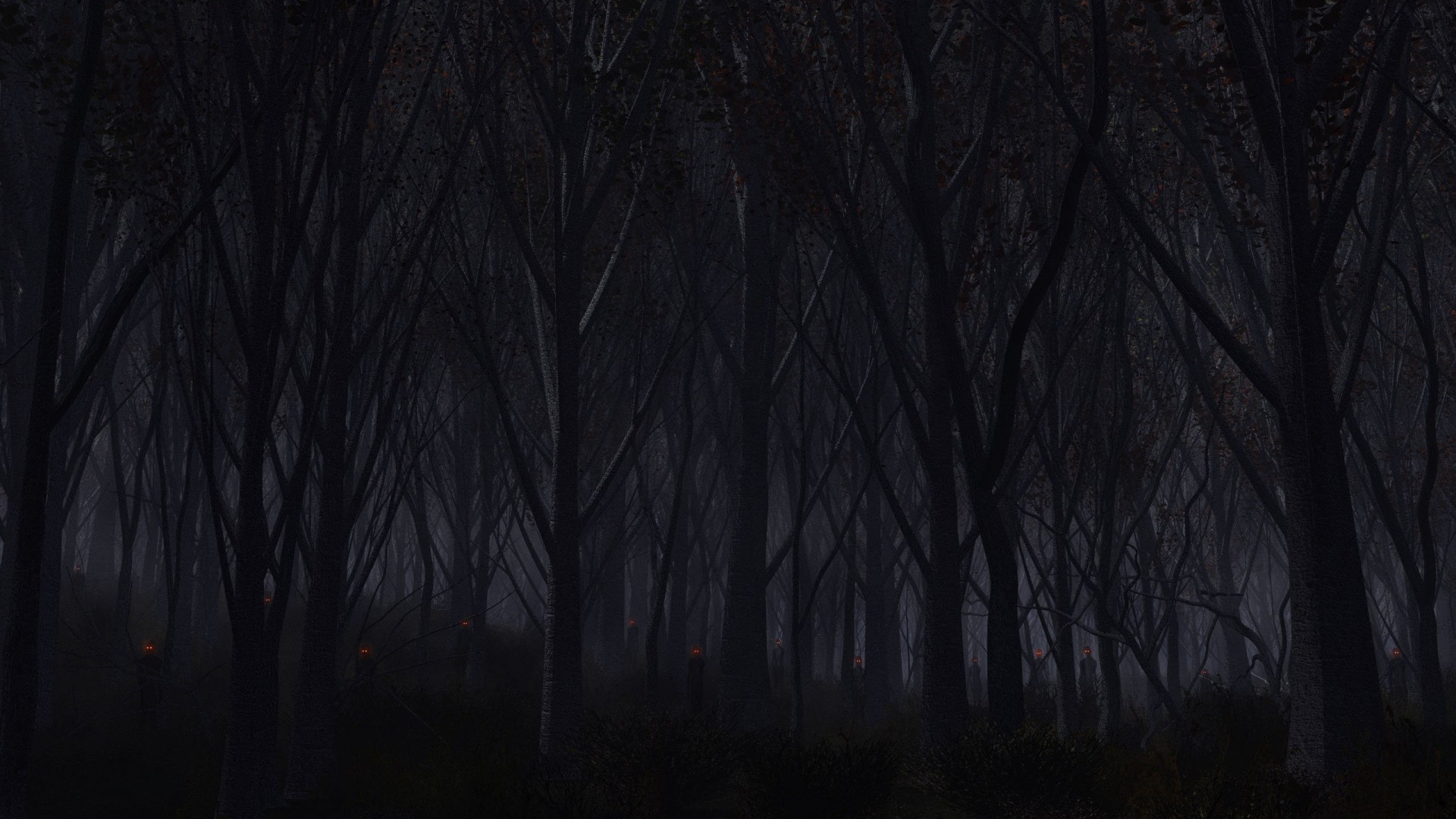 dark forest wallpaper 1920x1080