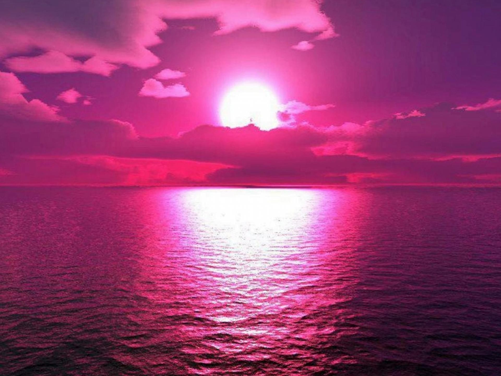 1100 Rosa Desktop Bilder 4K Kostenlose Wallpapers EBRX