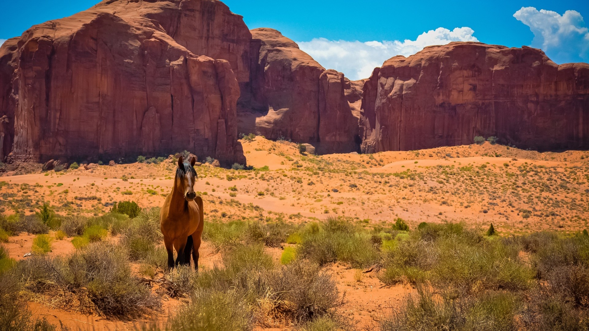 1920x1080 Preview wallpaper horse, usa, arizona, monument valley, desert, wild west  