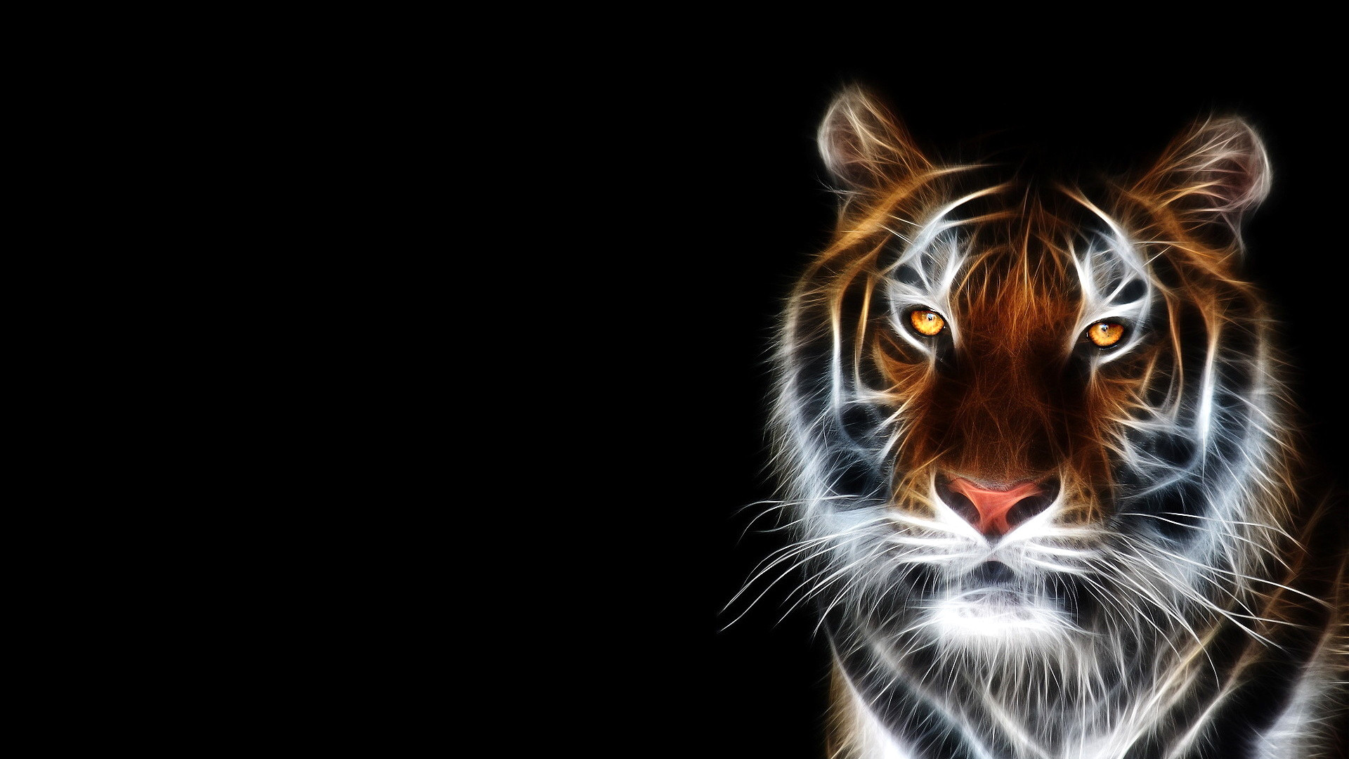 1920x1080 3D Animal HD Wallpapers Free Download