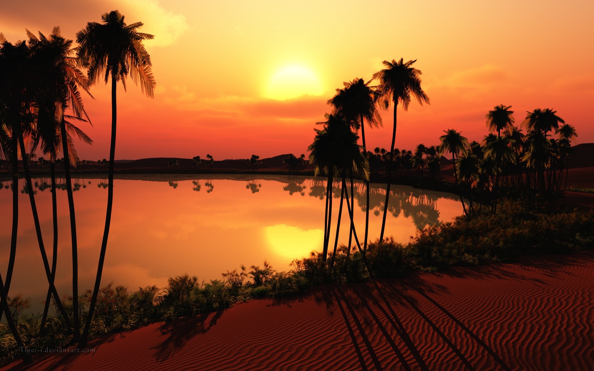 1920x1200 Oasis-sunset wallpapers and stock photos