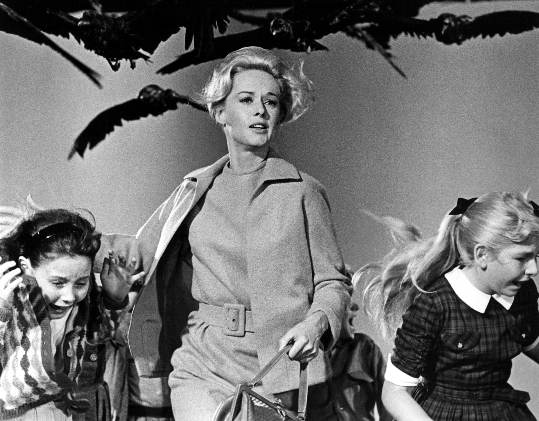 2280x1782 Hitchcock's 'The Birds' Flies into the National Film Registry - Bloody  Disgusting