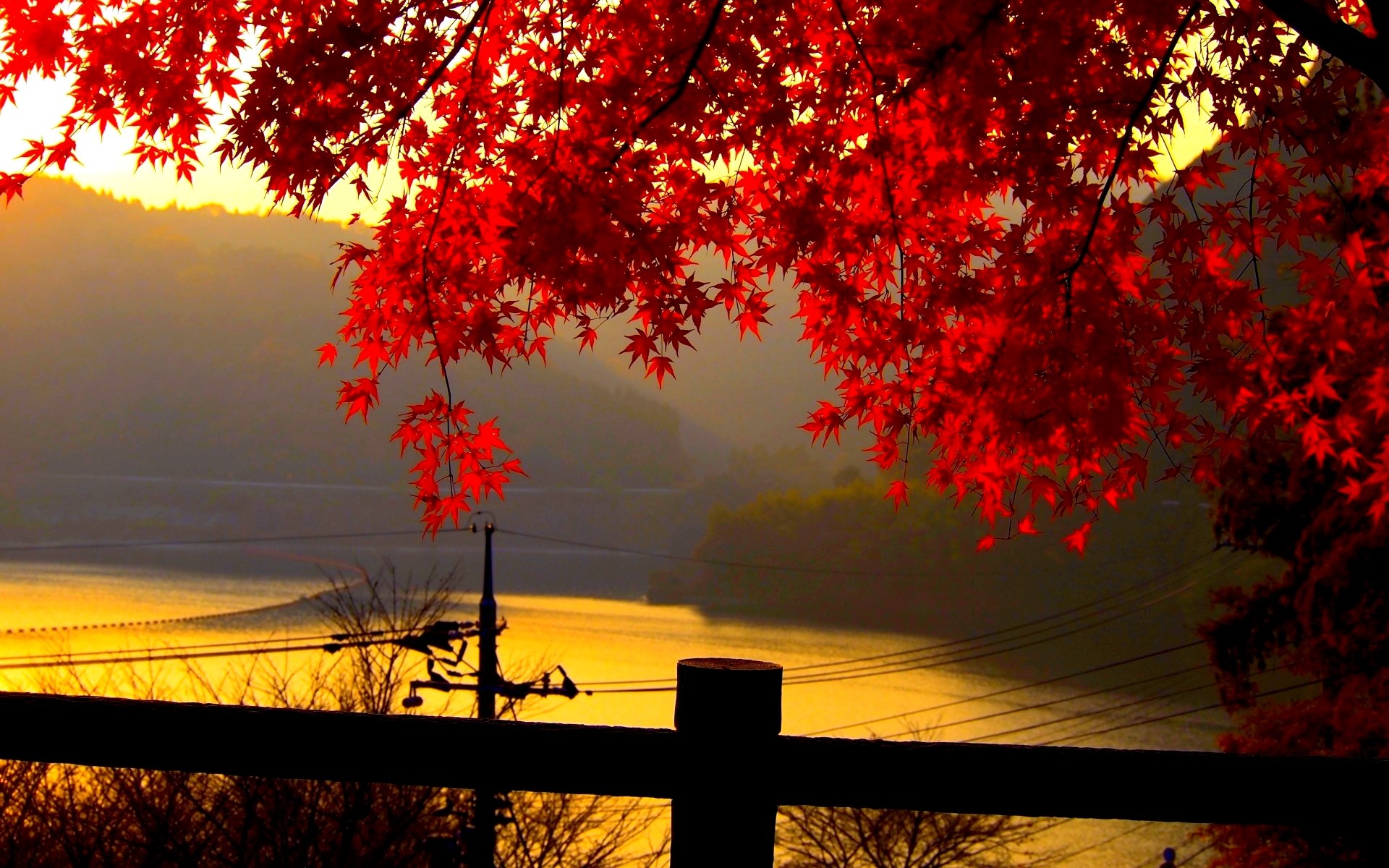 1920x1200 Beautiful autumn leaves pictures for desktop.