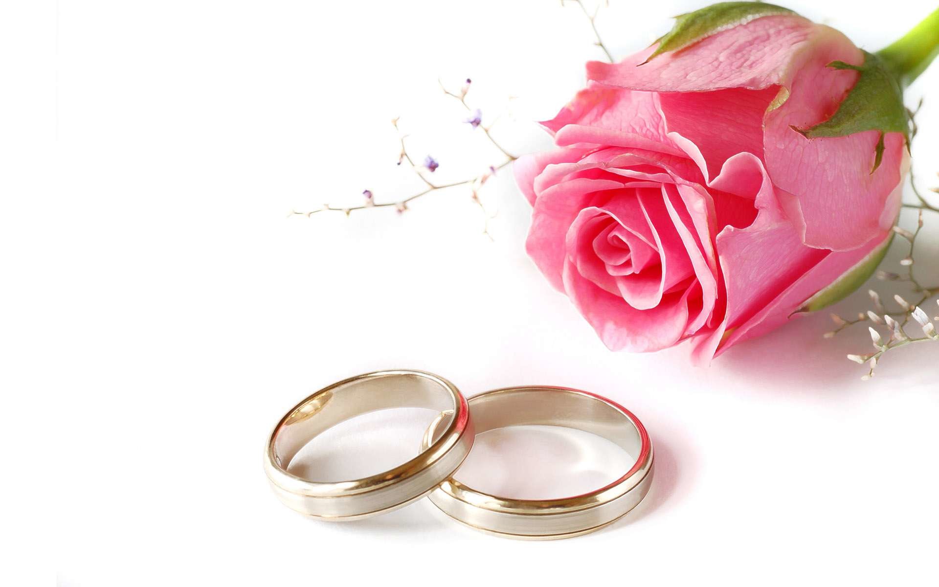 Significance of Wedding Rings at Christian Weddings | Feast Magazine