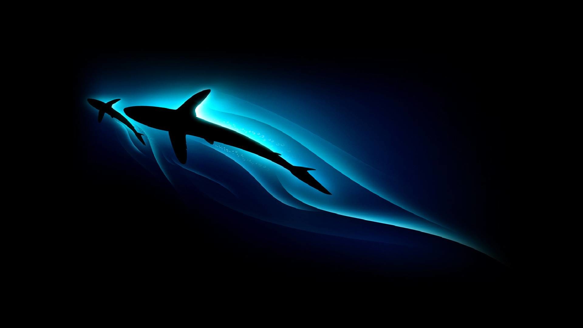 1920x1080 Download Cool Desktop Wallpapers pictures in high definition or .