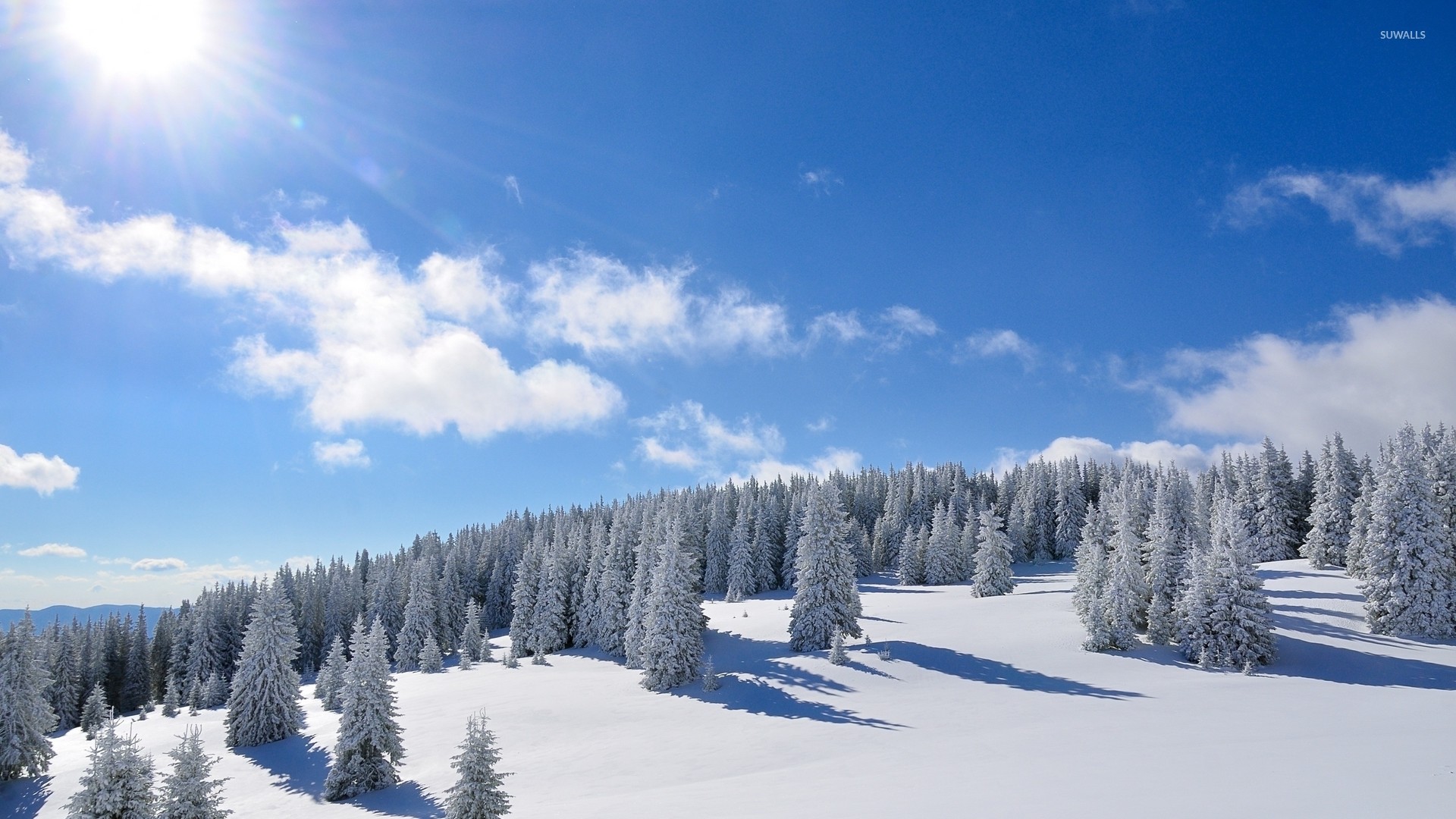 1920x1080 Amazing bright sun over the snowy forest wallpaper  jpg