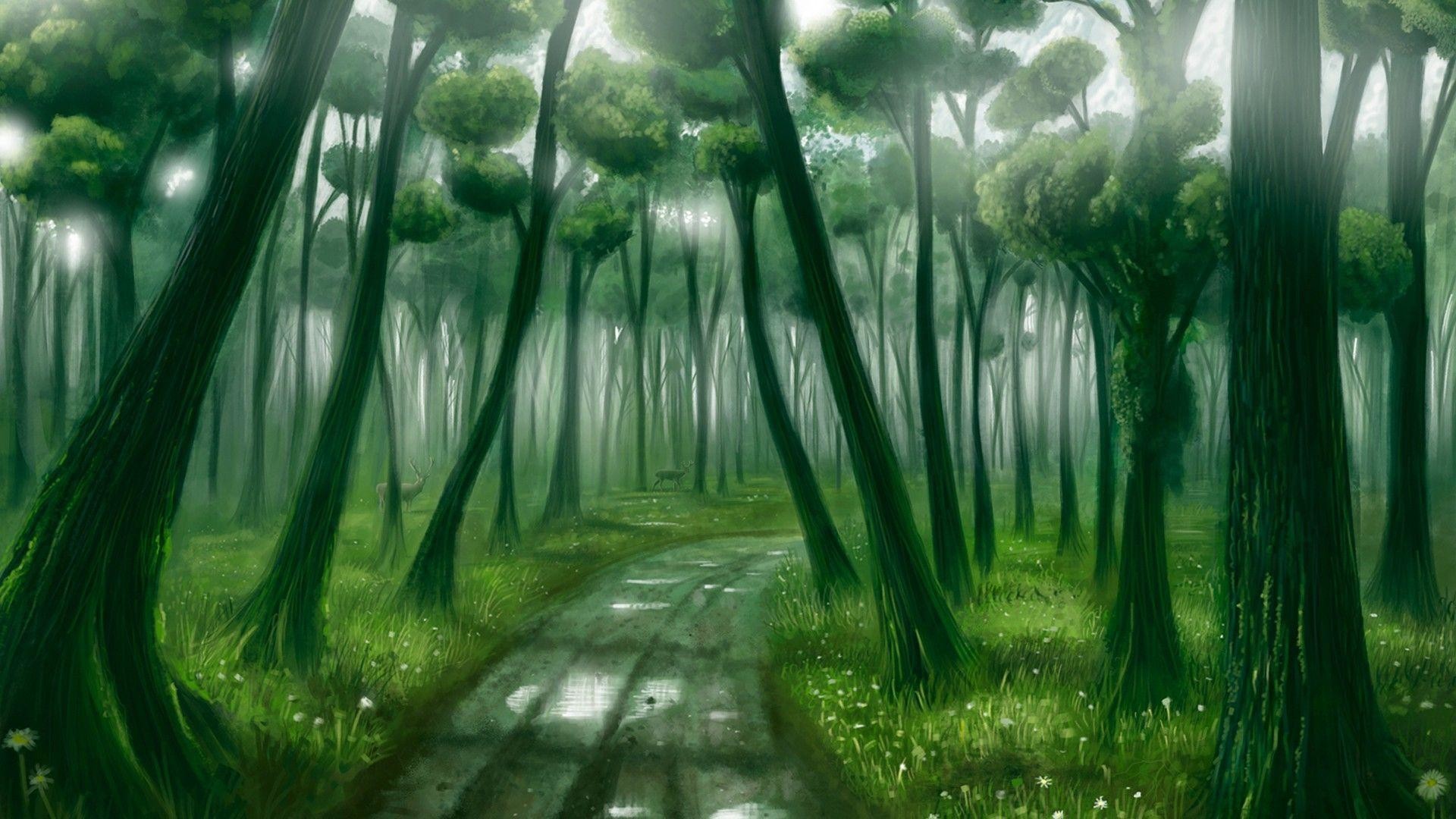 1920x1080 <b>Green Forest Wallpaper</b> - Android Apps on Google Play