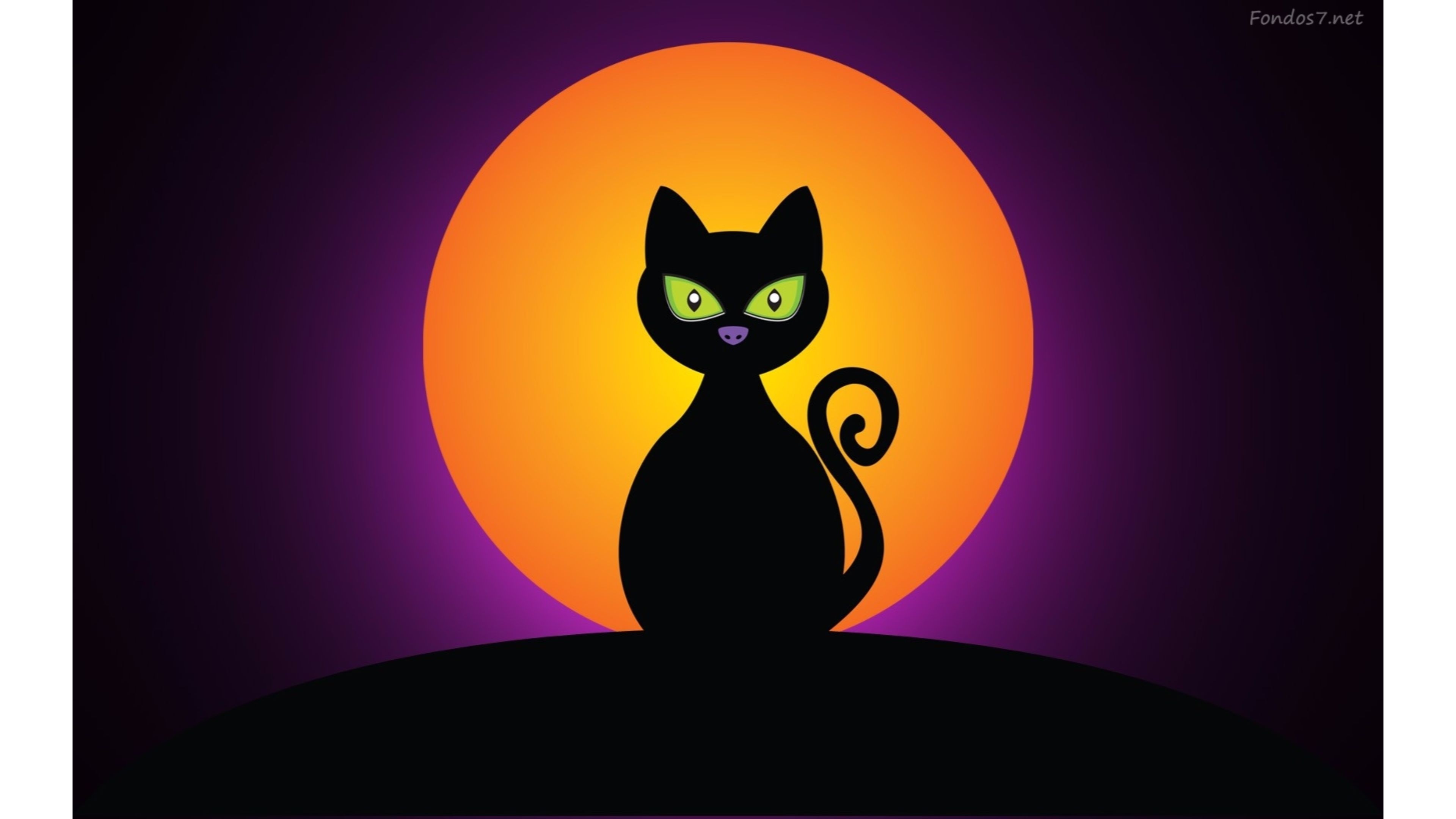 3840x2160 Title : black cat at night happy halloween 4k wallpapers | free 4k wallpaper.  Dimension : 3840 x 2160. File Type : JPG/JPEG