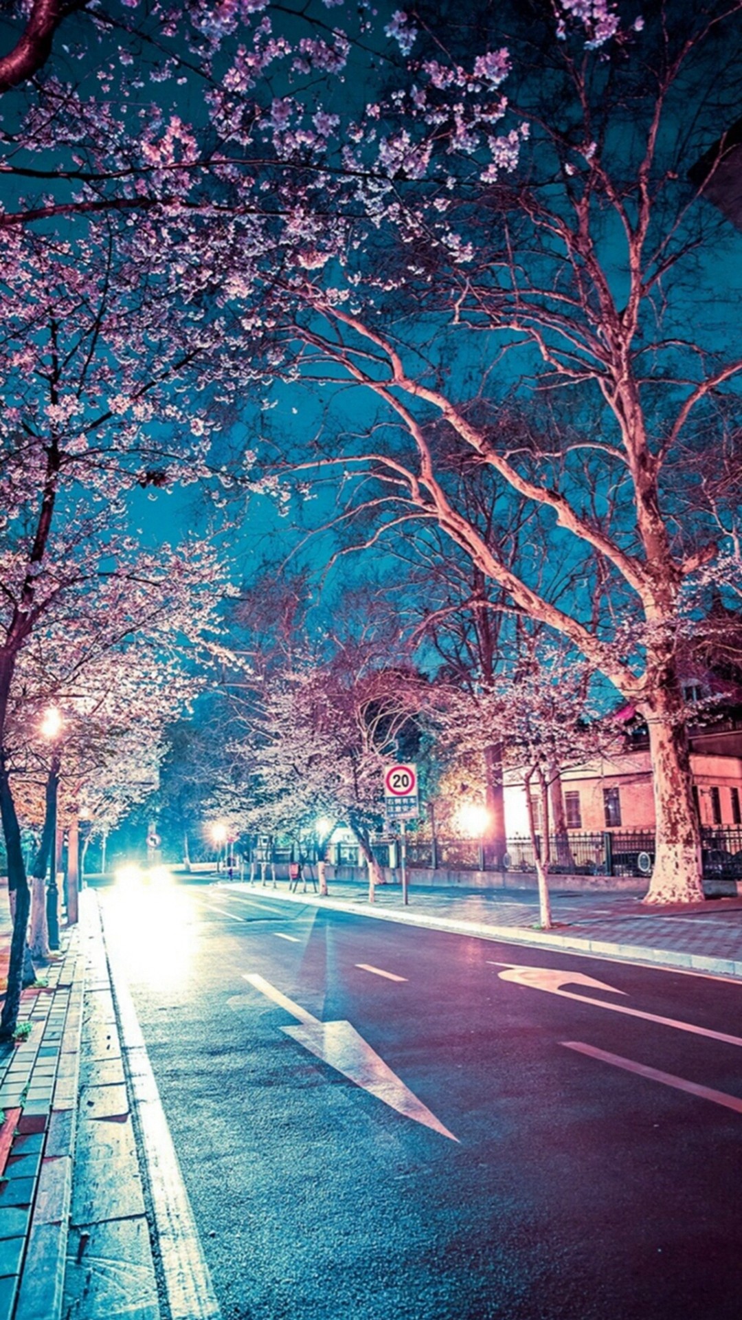 1080x1920 Japanese Street Cherry Blossom Night Scenery iPhone 6 wallpaper