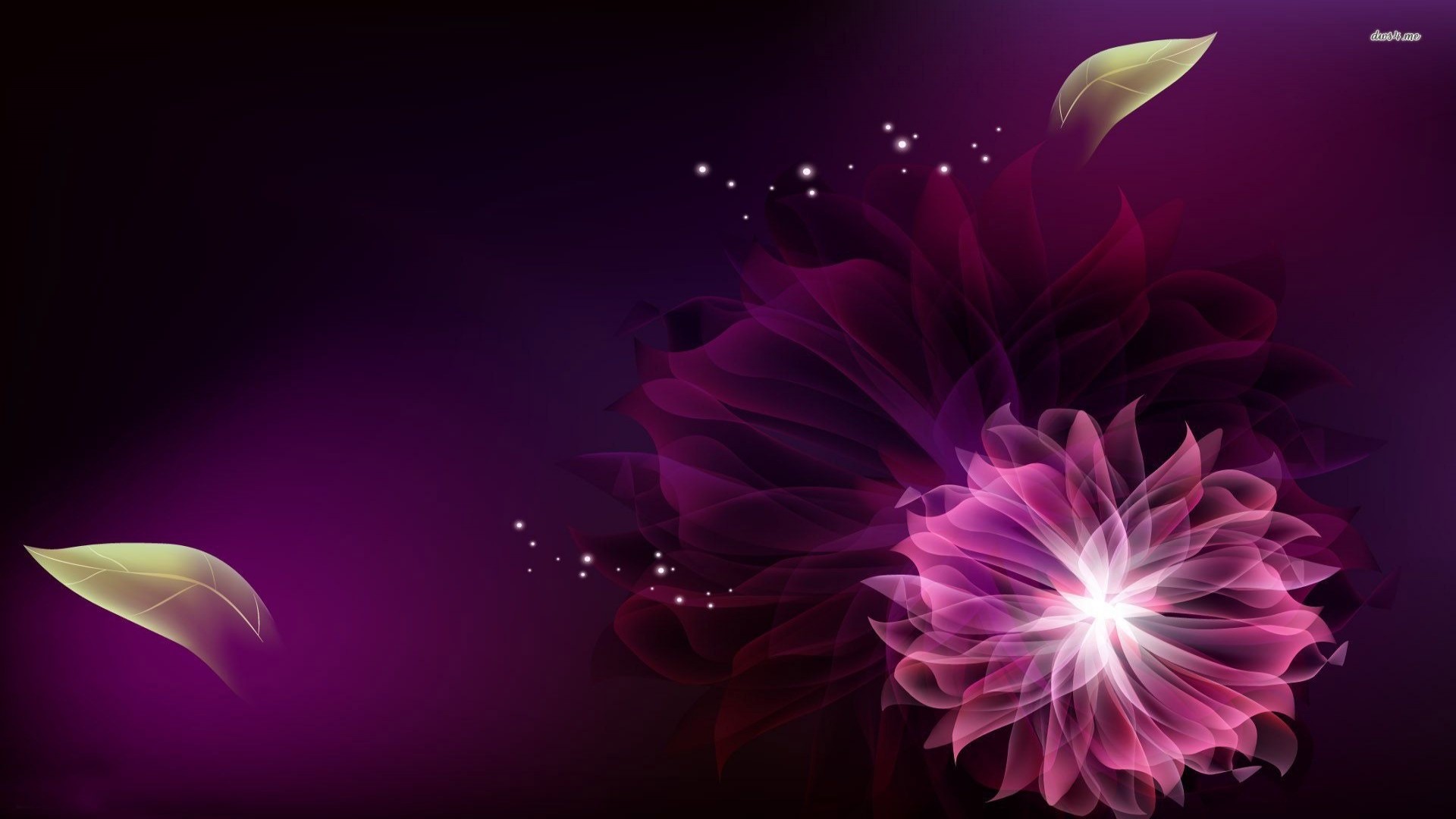 1920x1080 Floral Wallpaper With Black Background 6 Free Hd Wallpaper