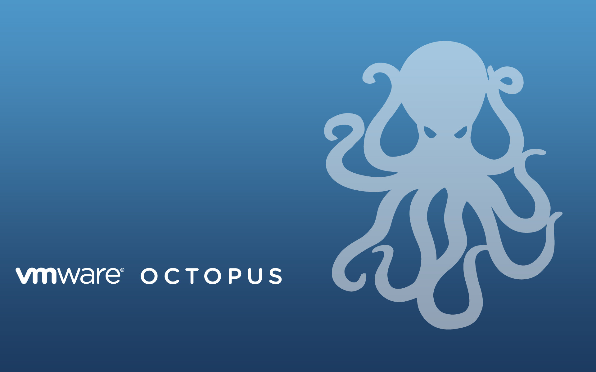 1920x1200 wallpaper.wiki-Octopus-Image-Download-Free-PIC-WPD001509