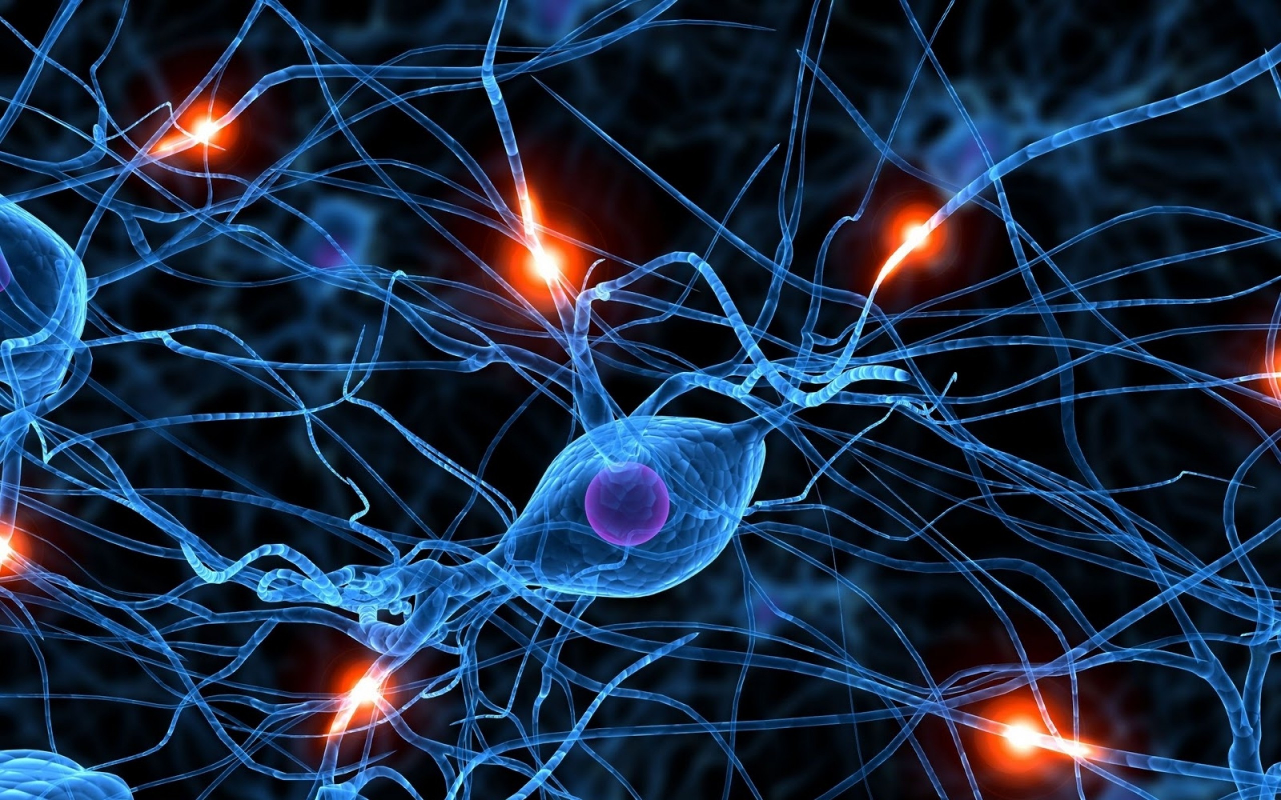 2560x1600 brain synapse neurons 1600x1200 wallpaper Art HD Wallpaper