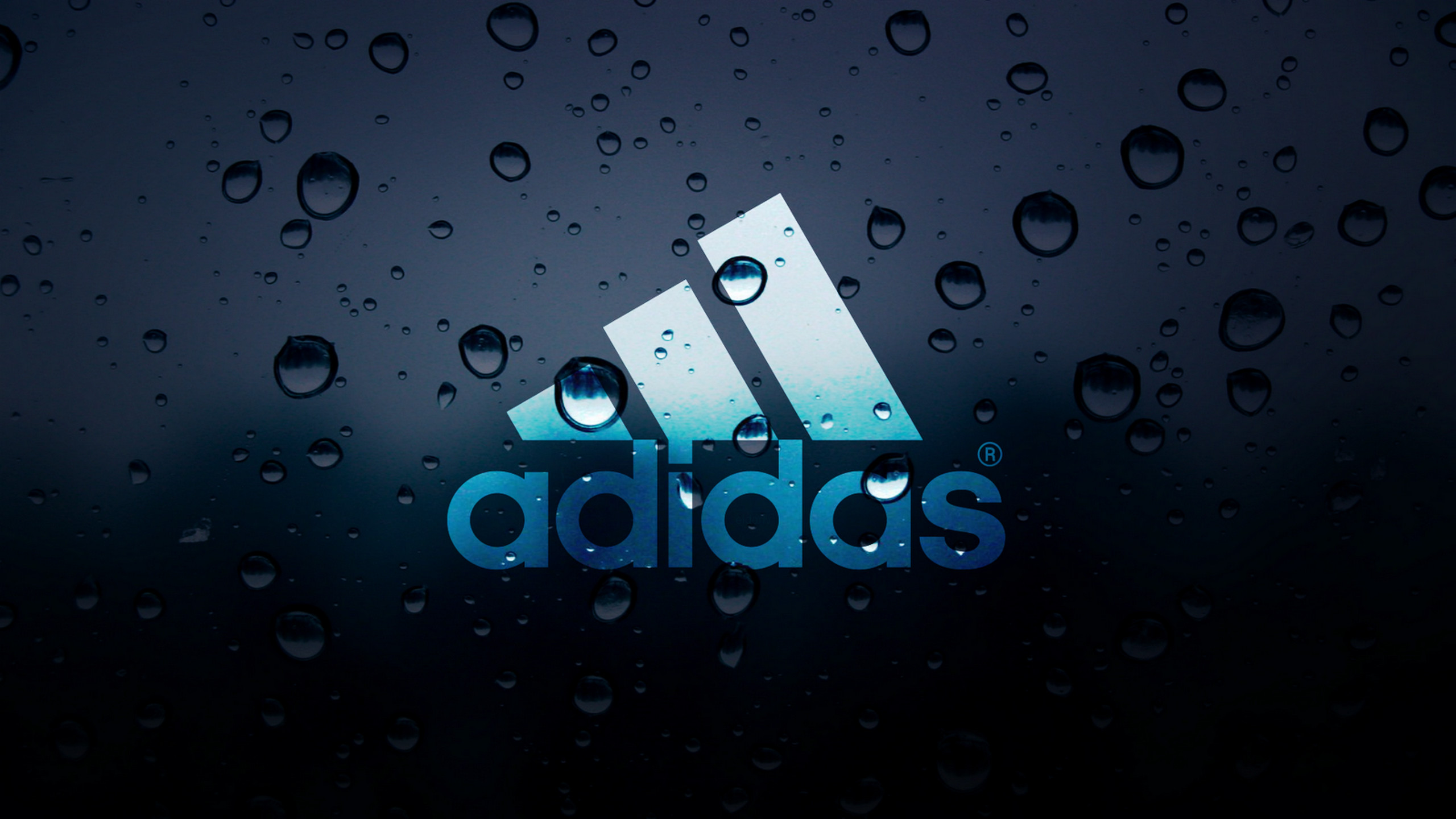 2560x1440 Adidas Logo 931655