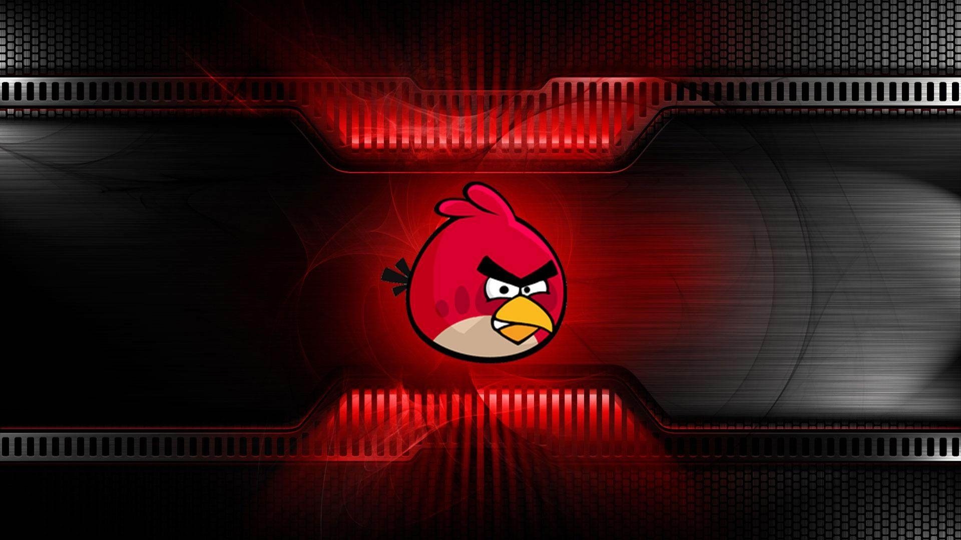 1920x1080 Wallpapers Backgrounds - Angry Birds Red Desktop Background Hayyie