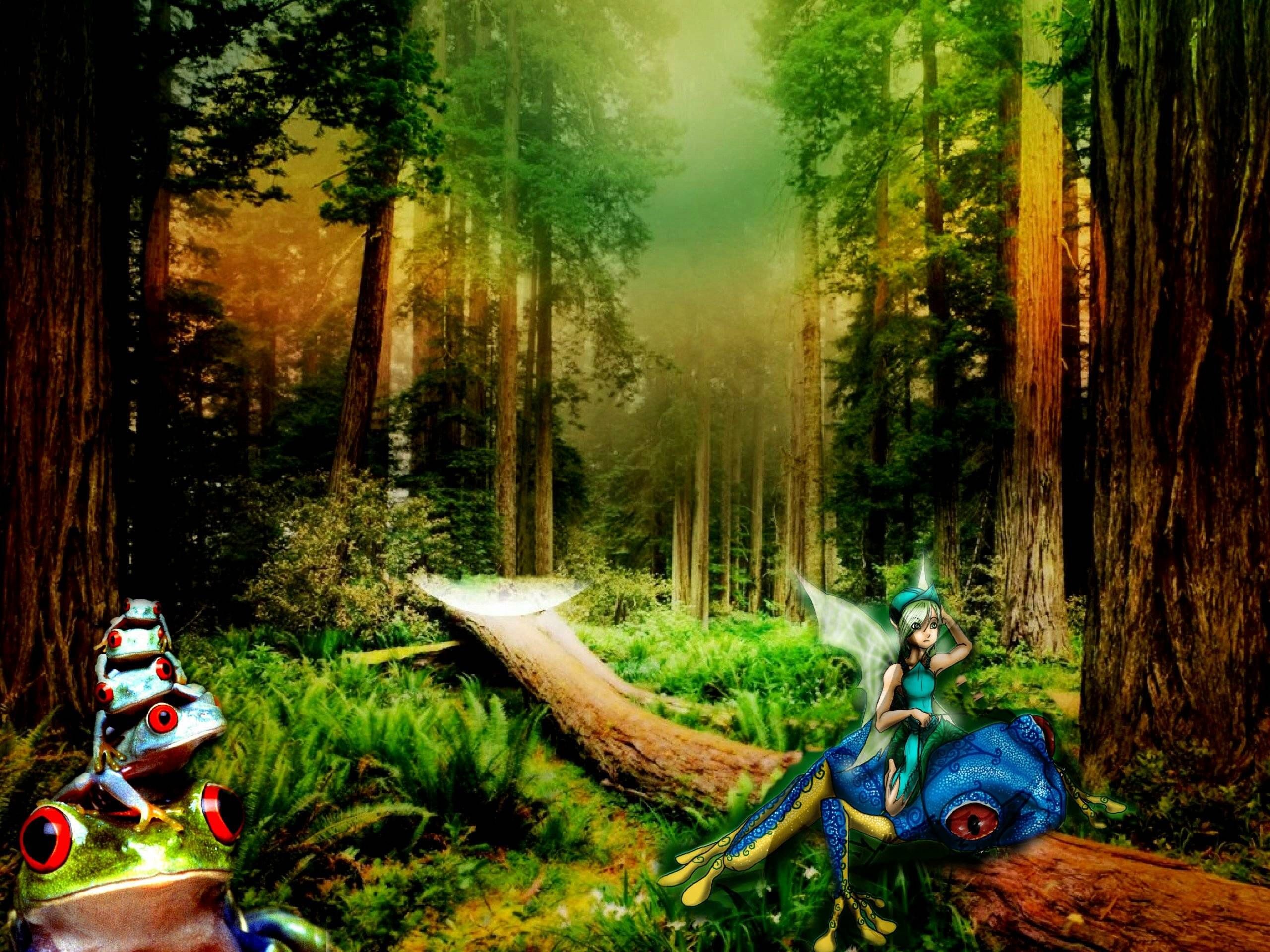 2560x1920 Enchanted Forest Backgrounds Wallpaper Cave HTML code