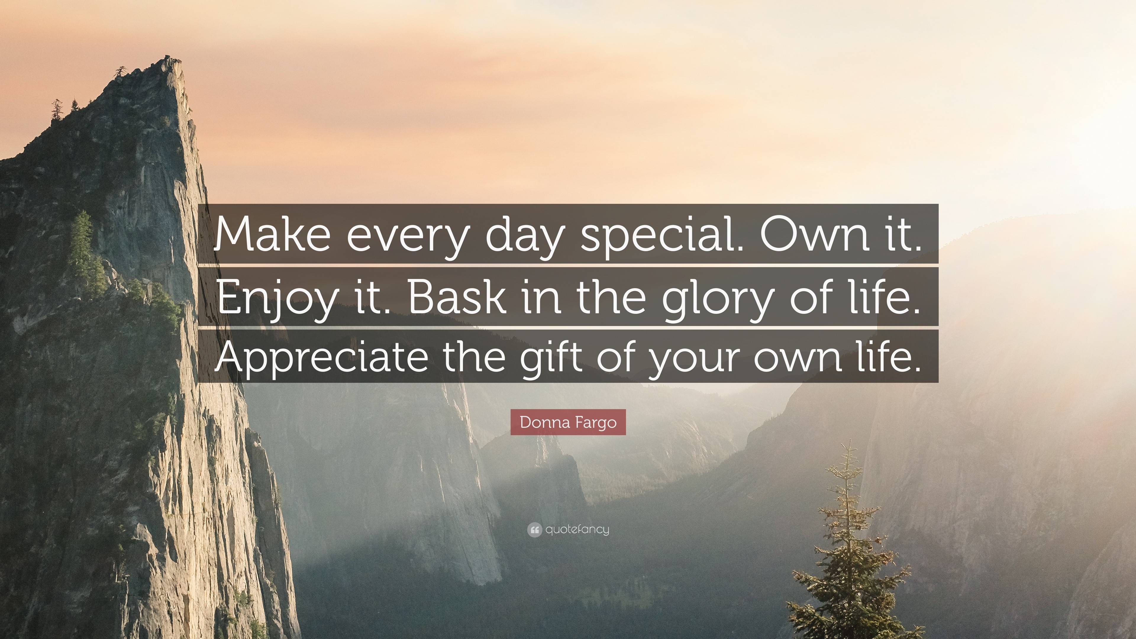 3840x2160 Donna Fargo Quote: “Make every day special. Own it. Enjoy it.