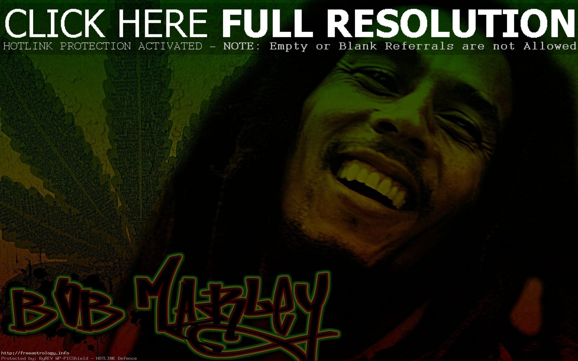 1920x1200 Perfect Bob Marley Wallpaper