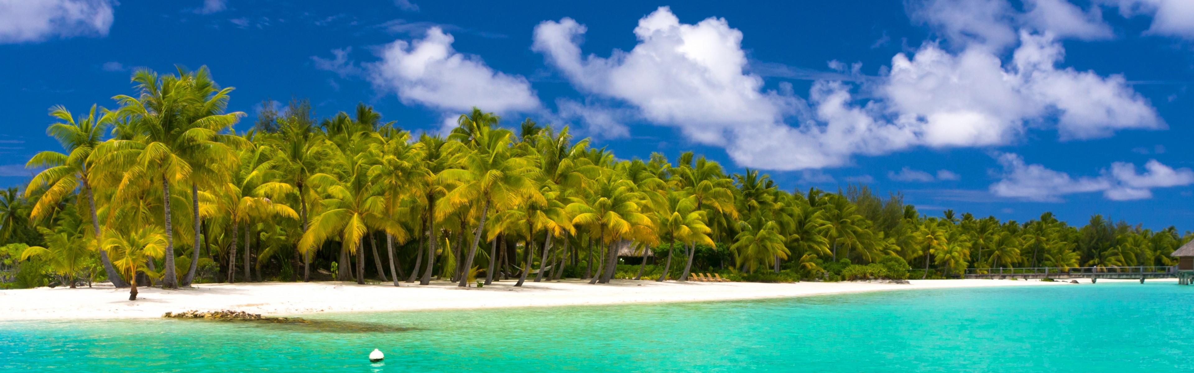 3840x1200 Preview wallpaper summer, maldives, tropical, beach, palm trees 