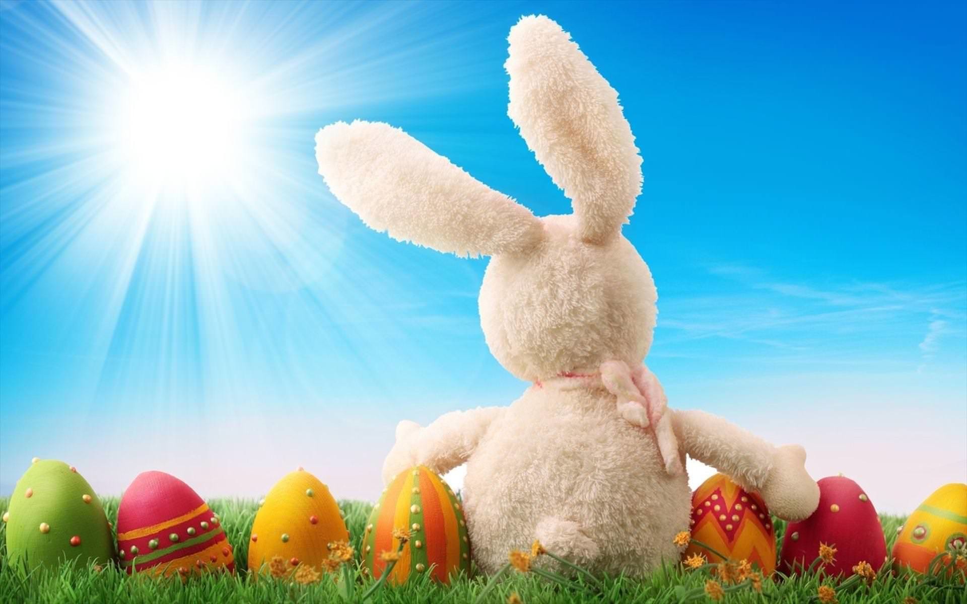 1920x1200 HD Easter Bunny Wallpaper For Free