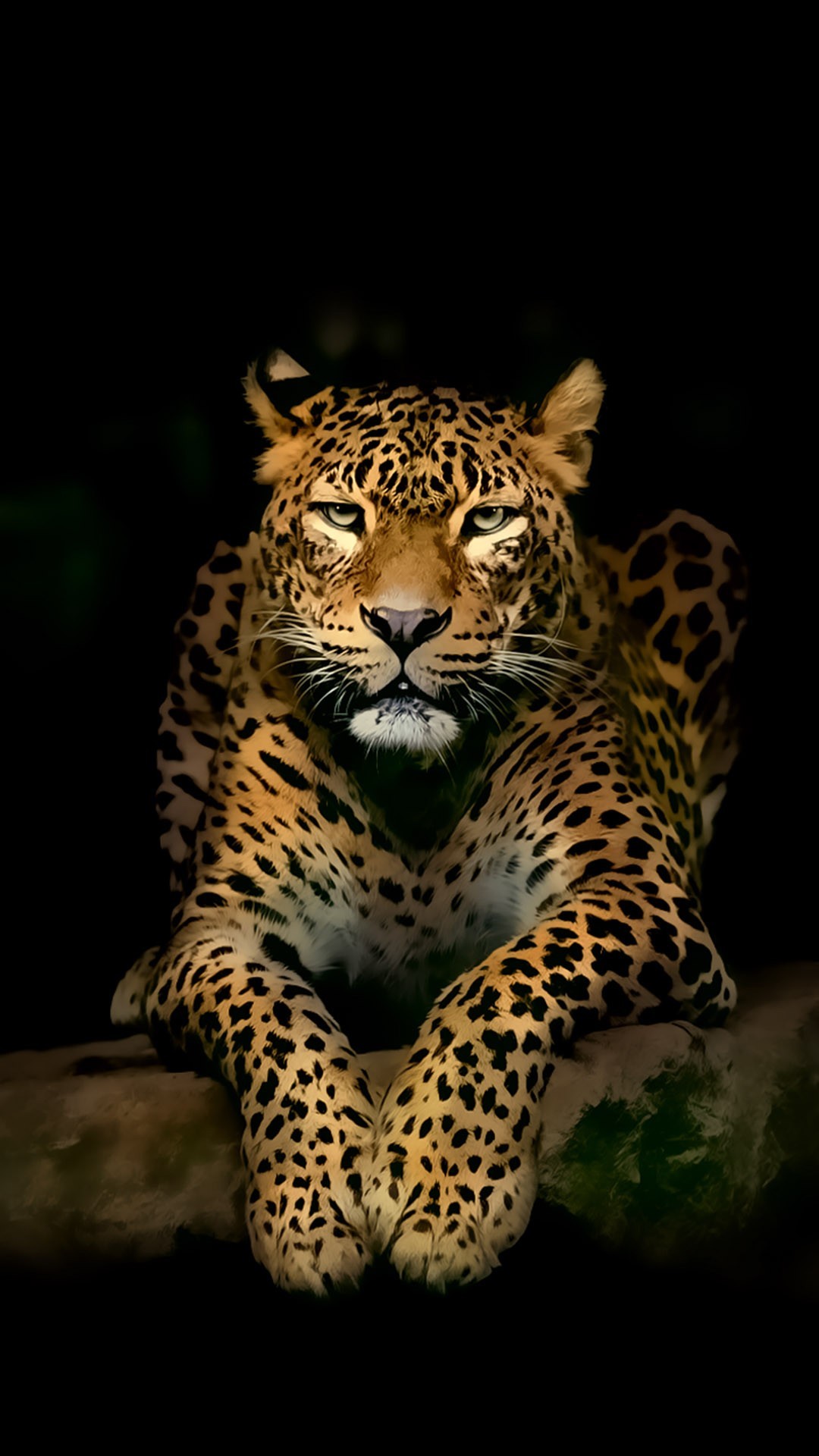 1080x1920 ... 3d Wallpaper For Android Serious Leopard 3D Spots Illustration Wild  Animal ...