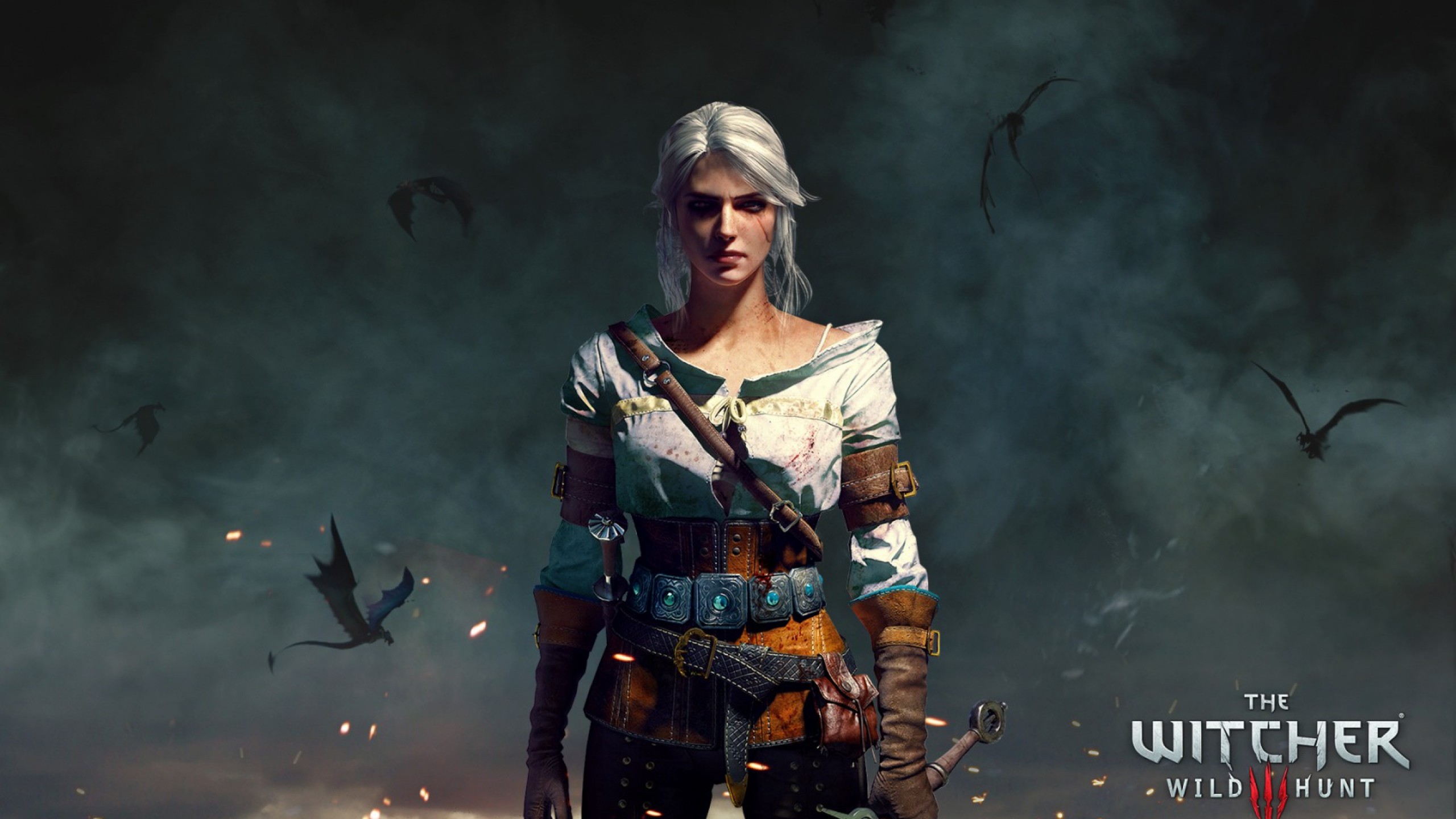 2560x1440  Wallpaper the witcher 3, wild hunt, character