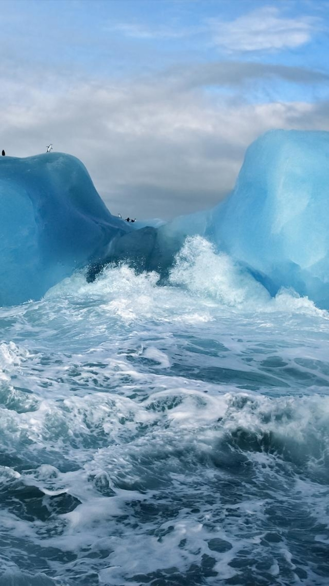 1080x1920 Ocean Surging Wave Penguin Iceberg