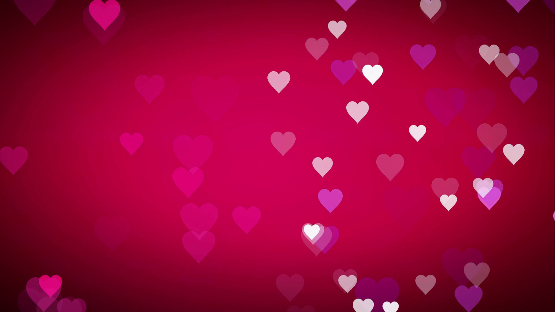 1920x1080 Animated many moving small pink purple white hearts on pink black background  useful greeting for wishing and celebrating valentine's day or emotion ...