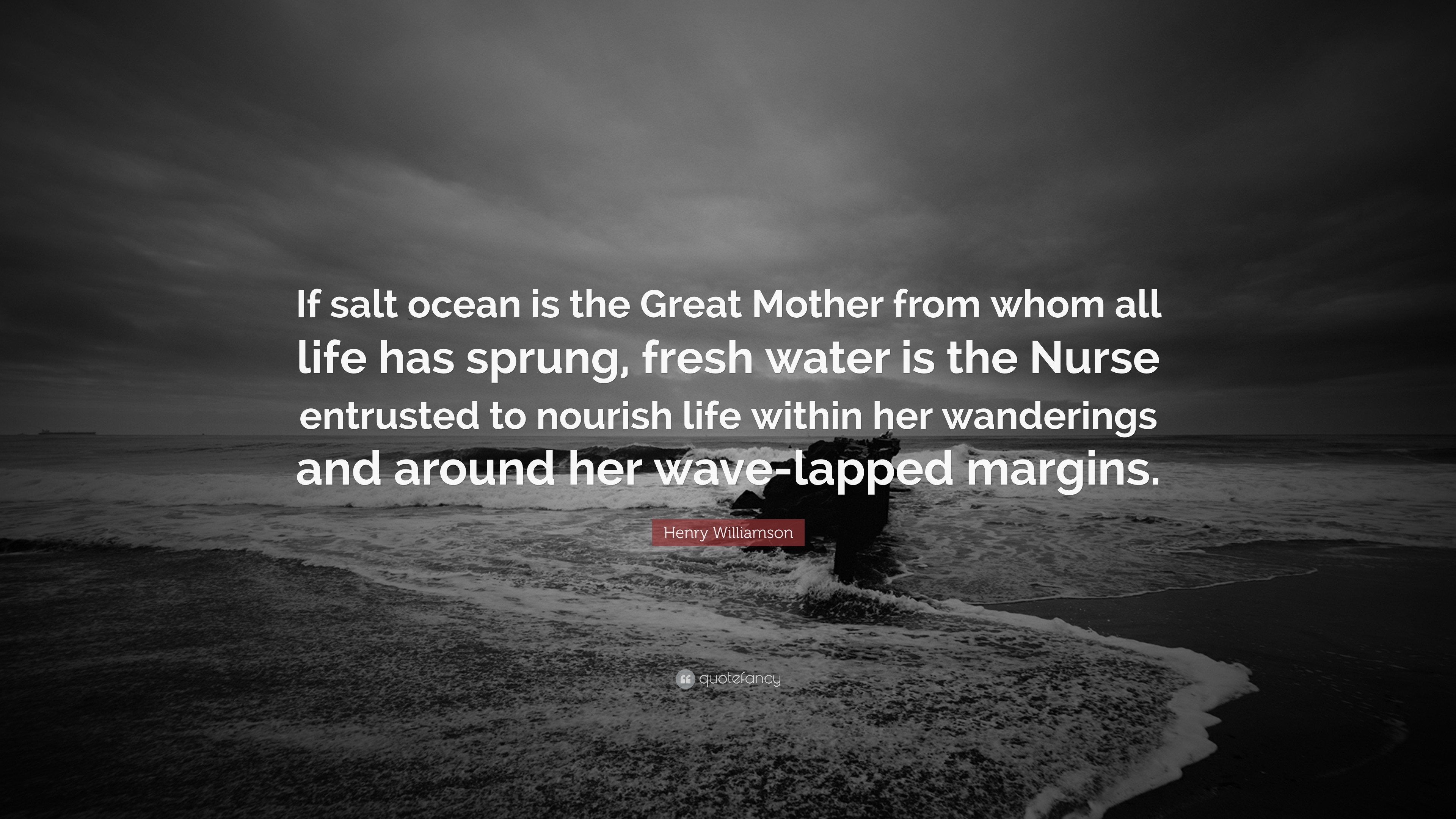 3840x2160 Henry Williamson Quote: “If salt ocean is the Great Mother from whom all  life