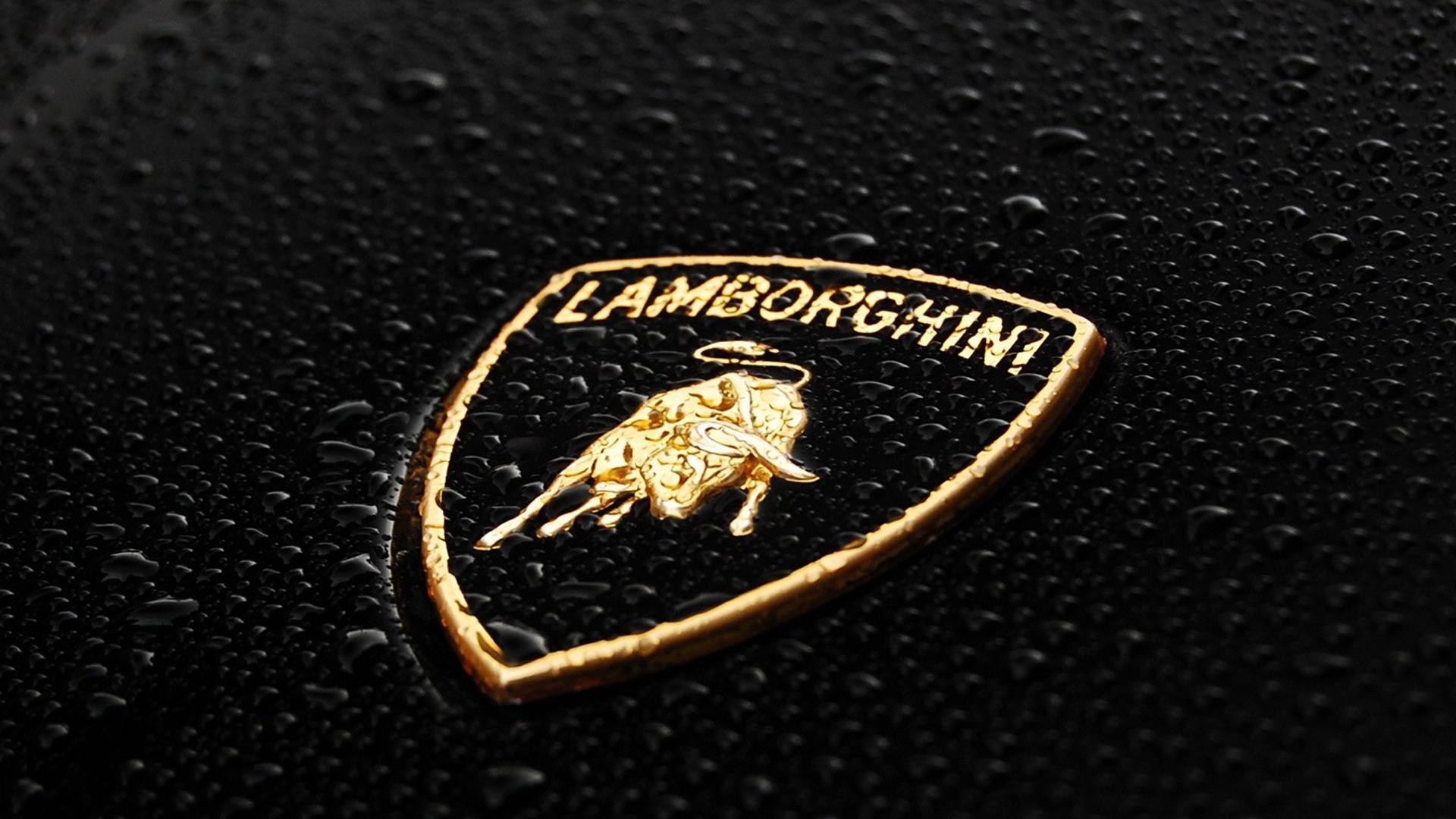 1920x1080 Lamborghini Car Company Logo HD Wallpaper
