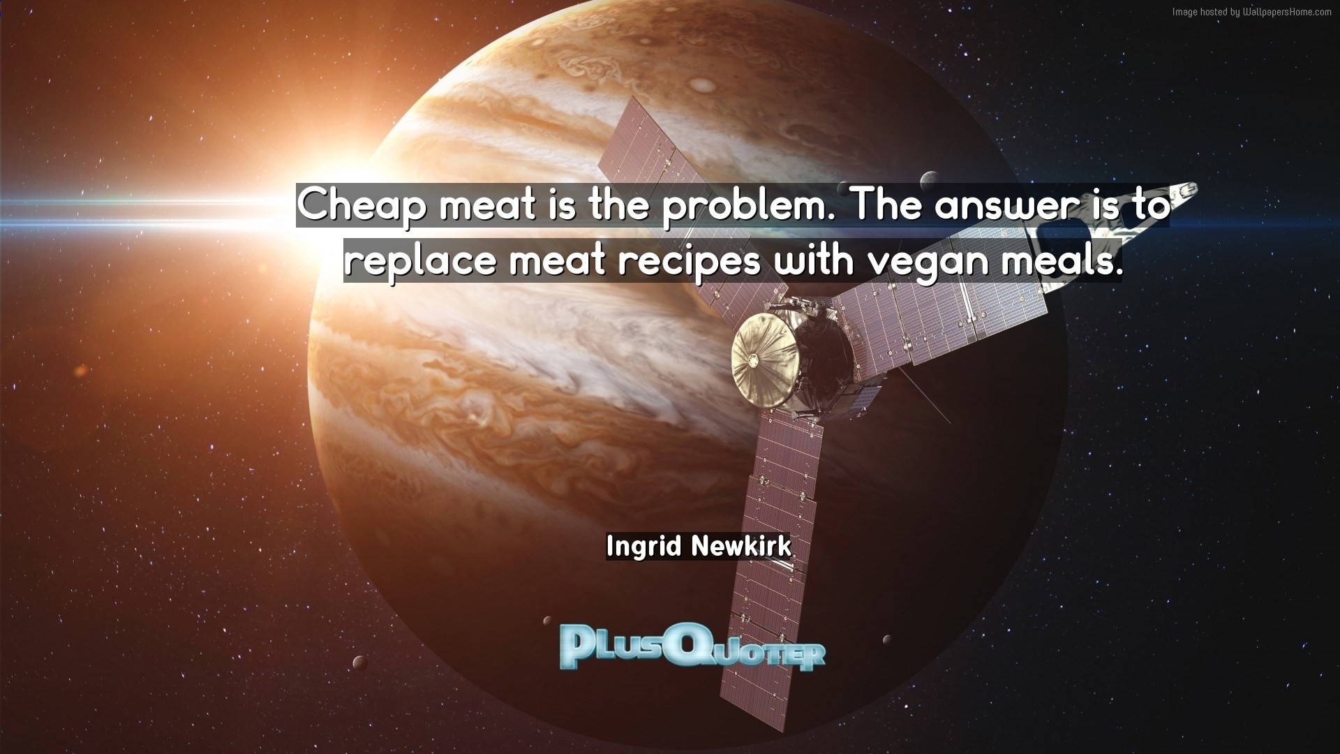 1920x1080 Download Wallpaper with inspirational Quotes- "Cheap meat is the problem.  The answer is