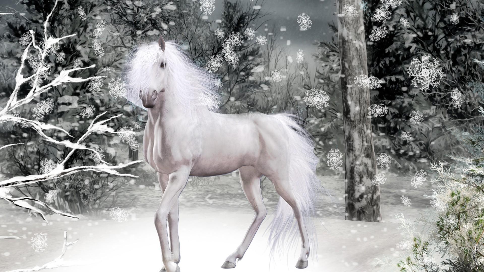 1920x1080 Magical Winter Horse wallpaper