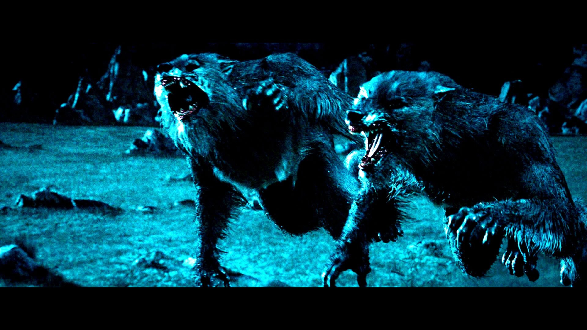 1920x1080 UNDERWORLD action fantasy thriller dark lycan werewolf ji wallpaper