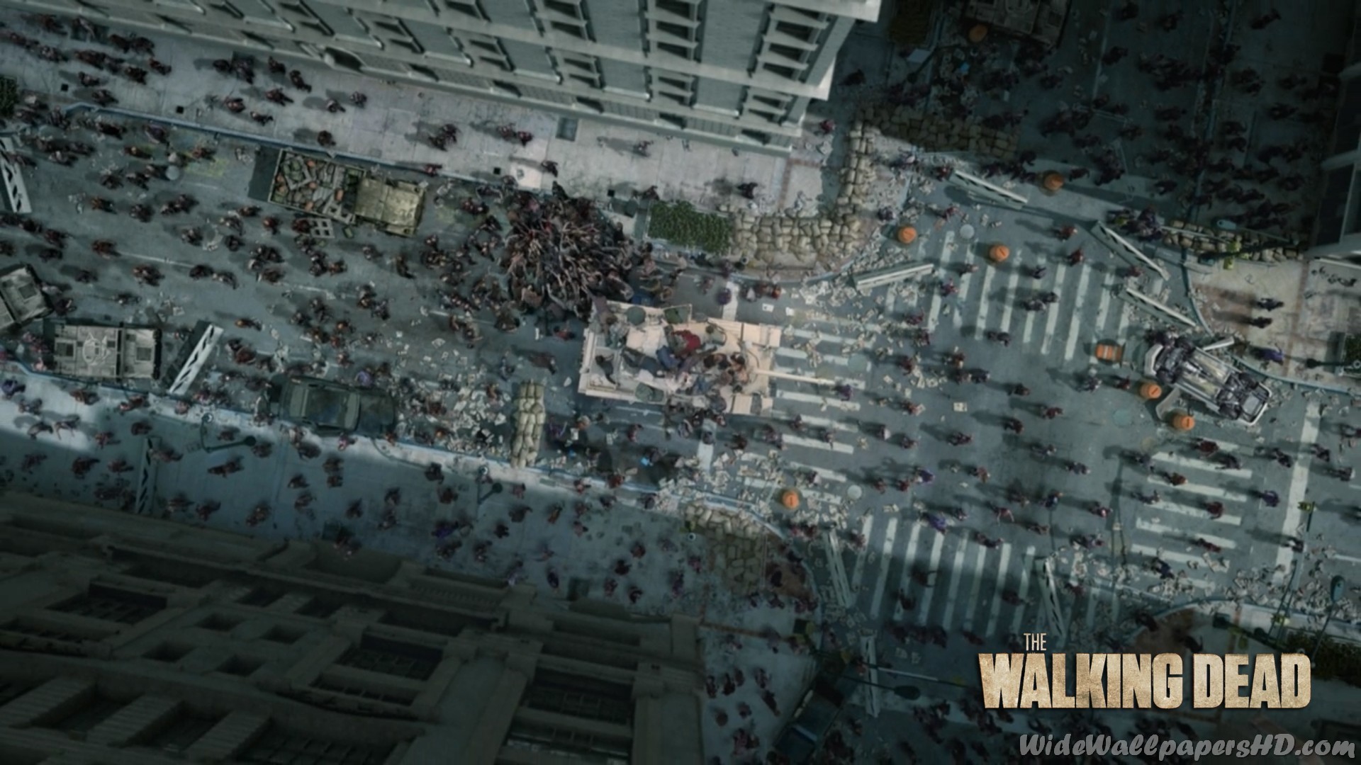 1920x1080 ... 1920 Ã 1080 pixels. Shane-Walsh-2-The-Walking-Dead-Wide-HD-Wallpapers