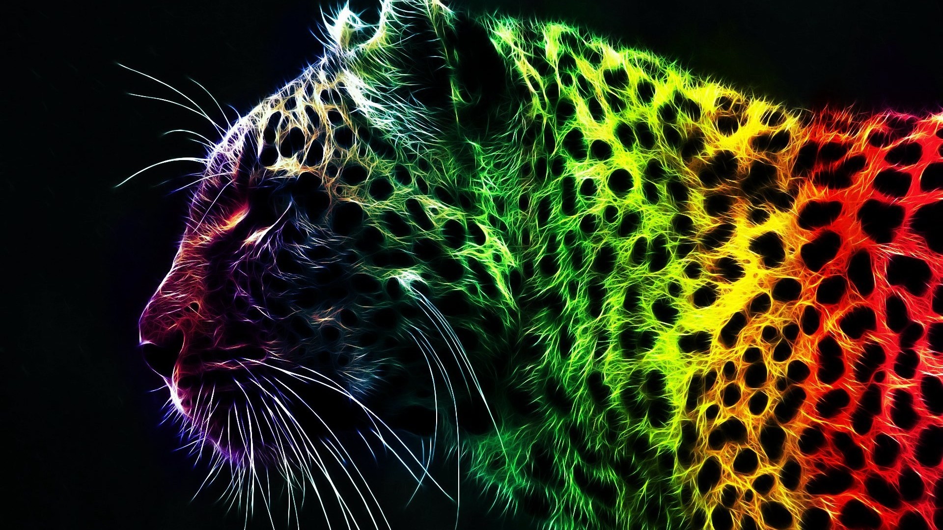 1920x1080 3D Abstract Wallpapers.... - The Cool Art
