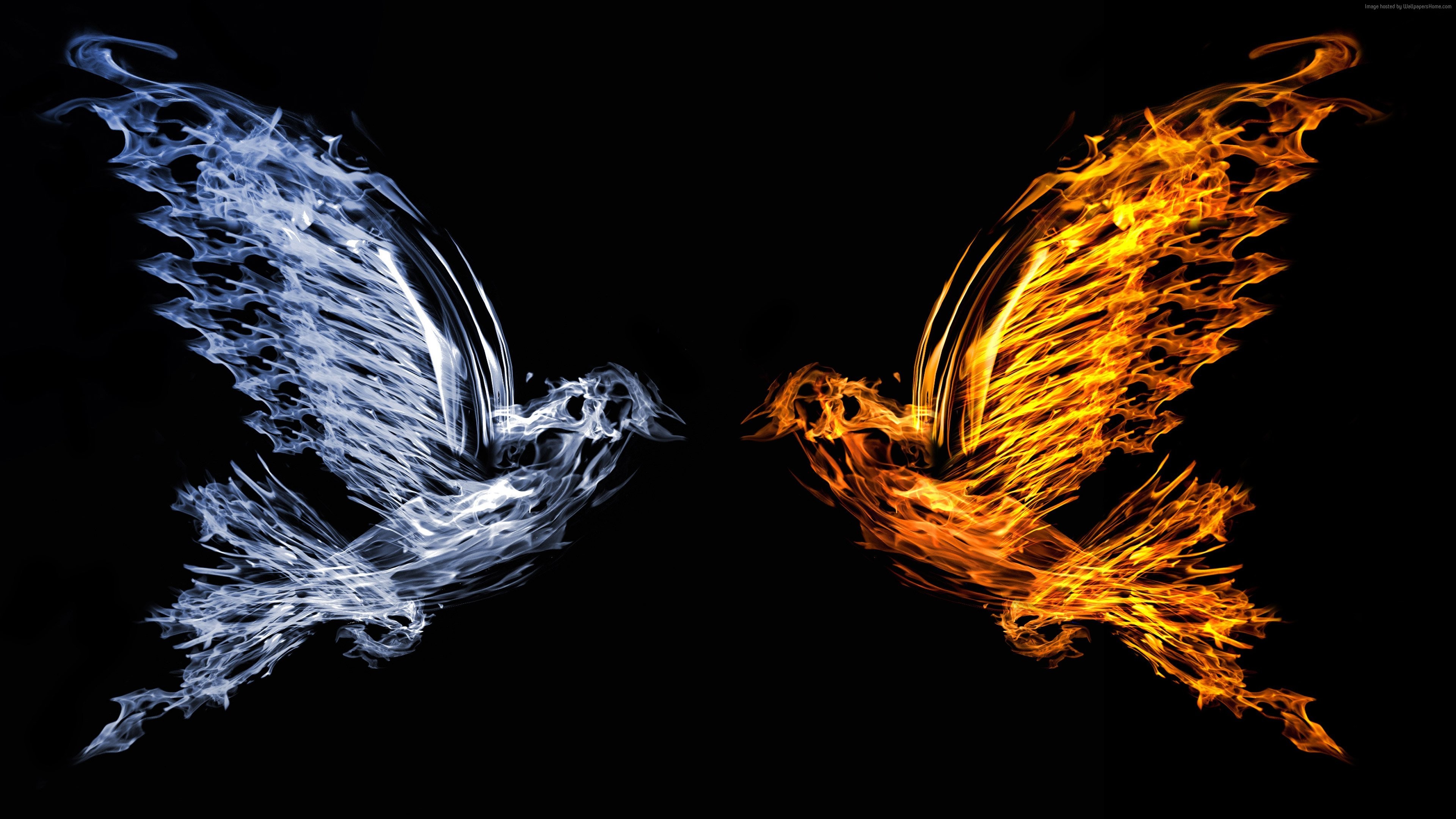 3840x2160 Bird Art Fire Water - Image #940 - Licence: Free for Personal Use -