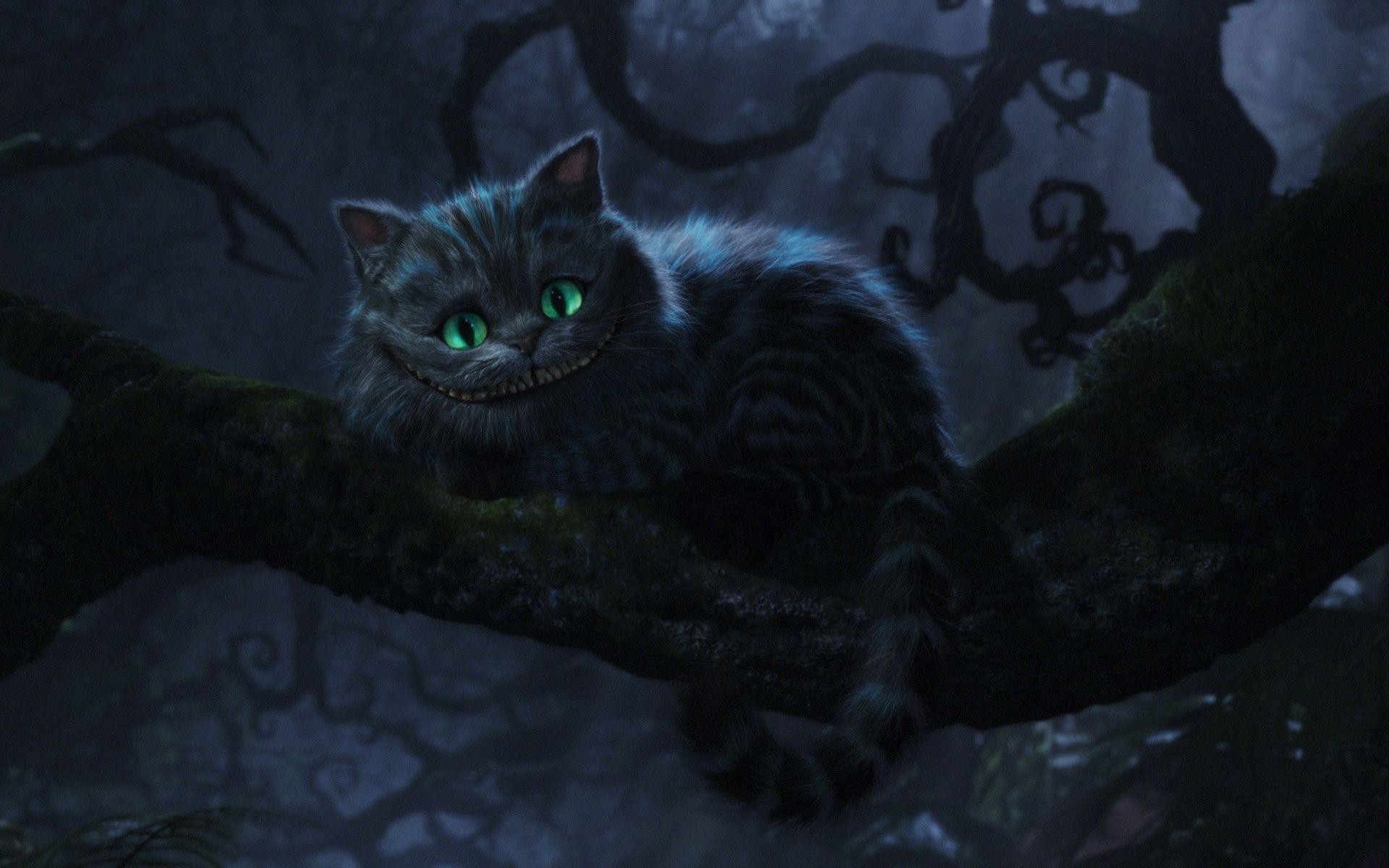 1920x1200 Most Downloaded Cheshire Cat Wallpapers - Full HD wallpaper search