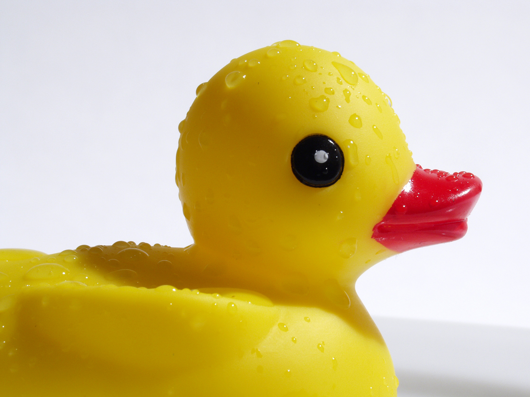 2240x1680 Gorgeous Rubber Duck Bathtub Toy 88 Ways To Get Rid Natural Rubber Duck  Bath Toy