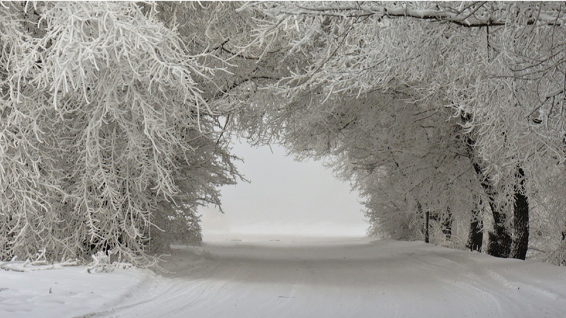 1920x1080 Winter - Snow Tunnel Street Trees Landscape Ice Wallpaper Winter Desktop  for HD 16:9