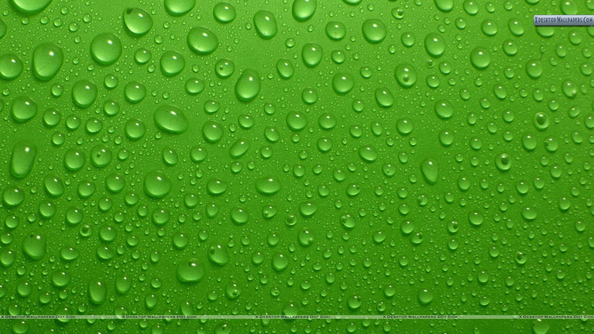 1920x1080  download green background  for retina