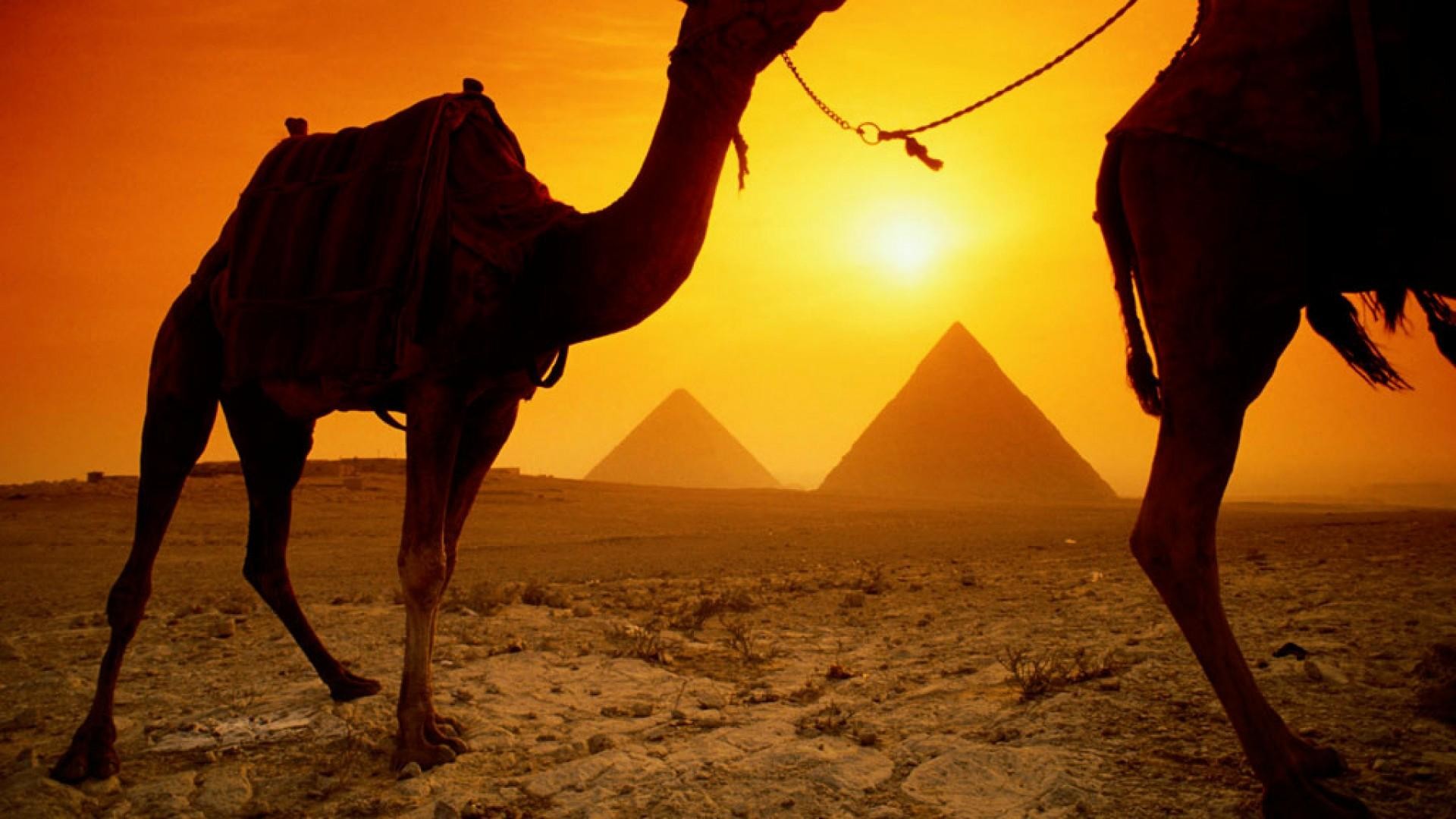 1920x1080 wallpaper.wiki-Egypt-Backgrounds-Free-Download-PIC-WPB007016