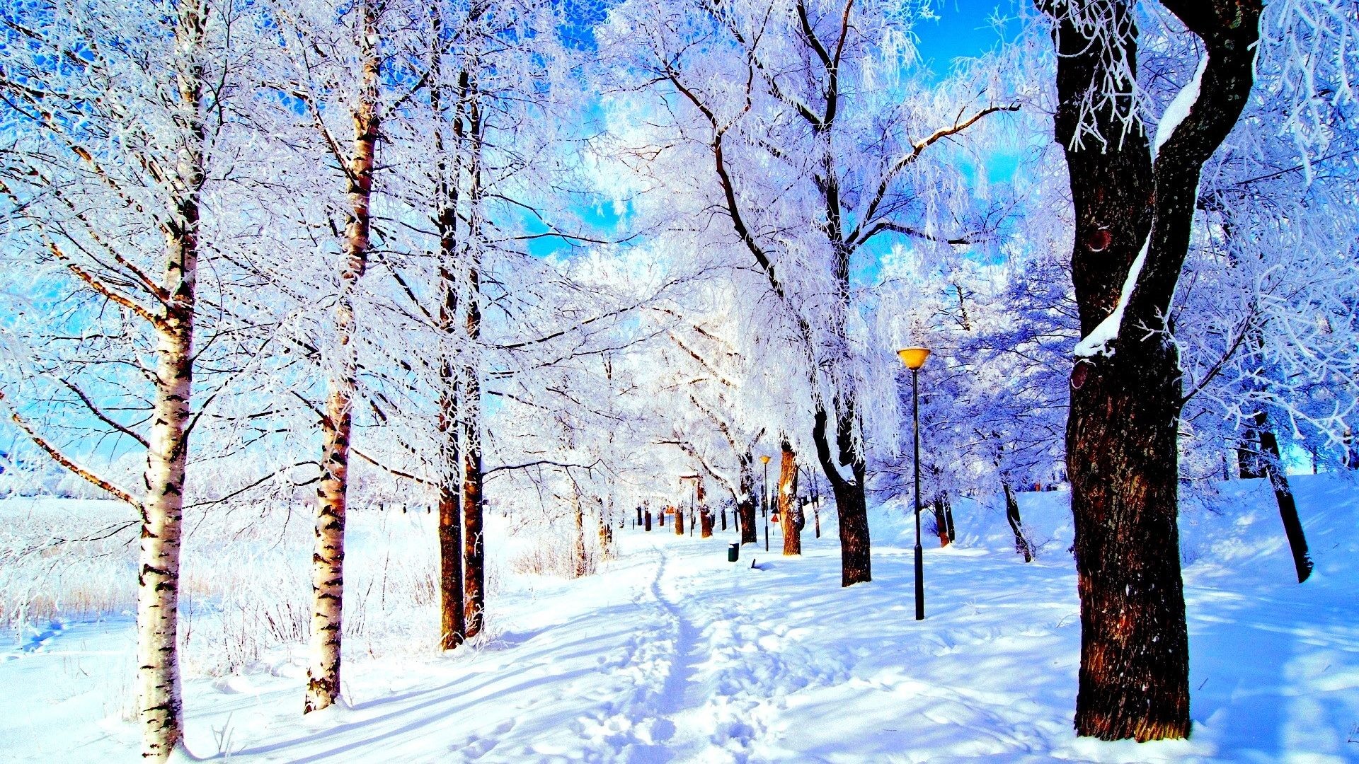 1920x1080 Nature Snowy Lantern Park Trees Snow Pretty Trails Sky Winter Lovely Cold  Nice Beautiful Elegant Wallpaper