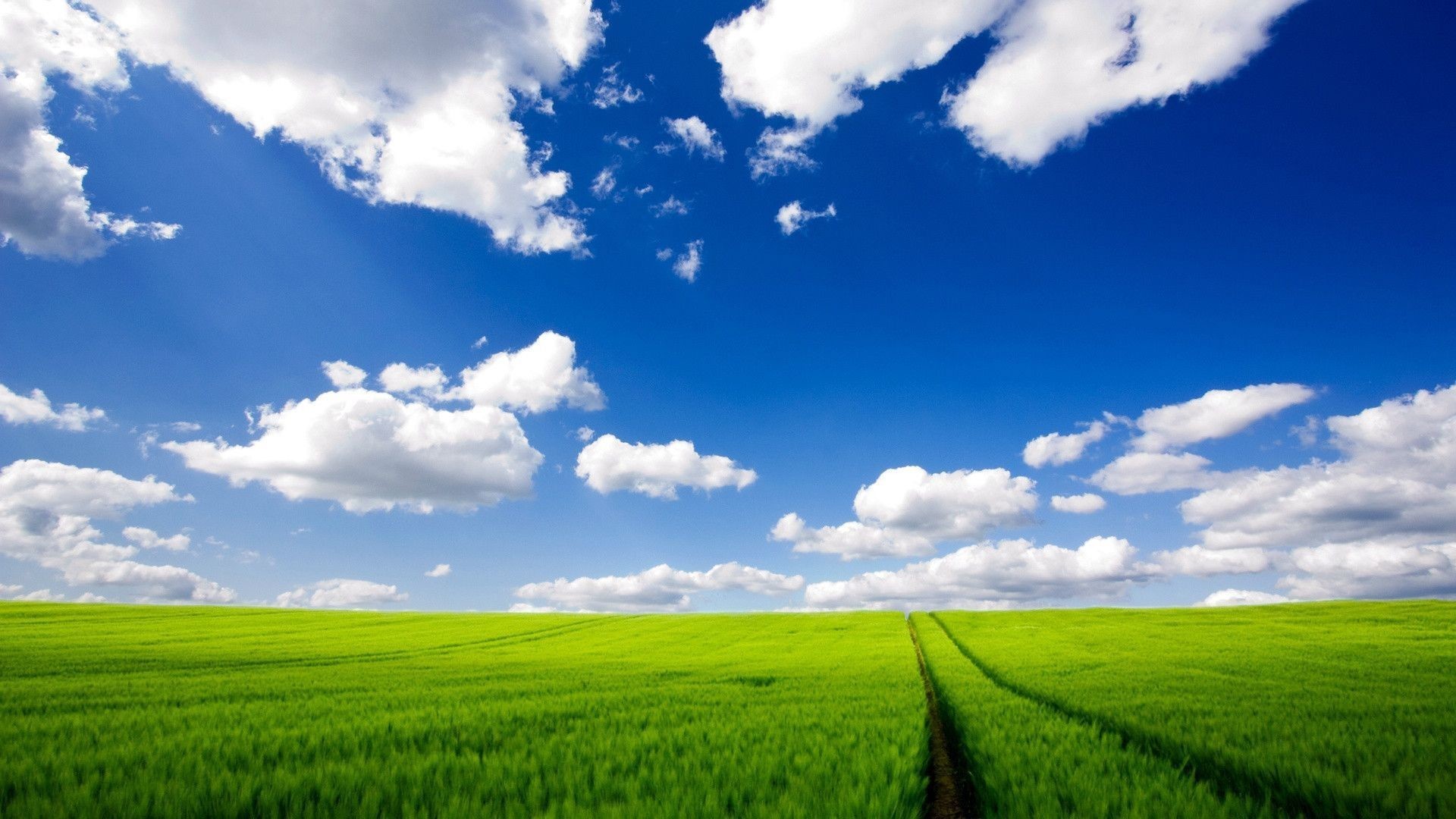 1920x1080  Download HD Windows XP Wallpapers for Free