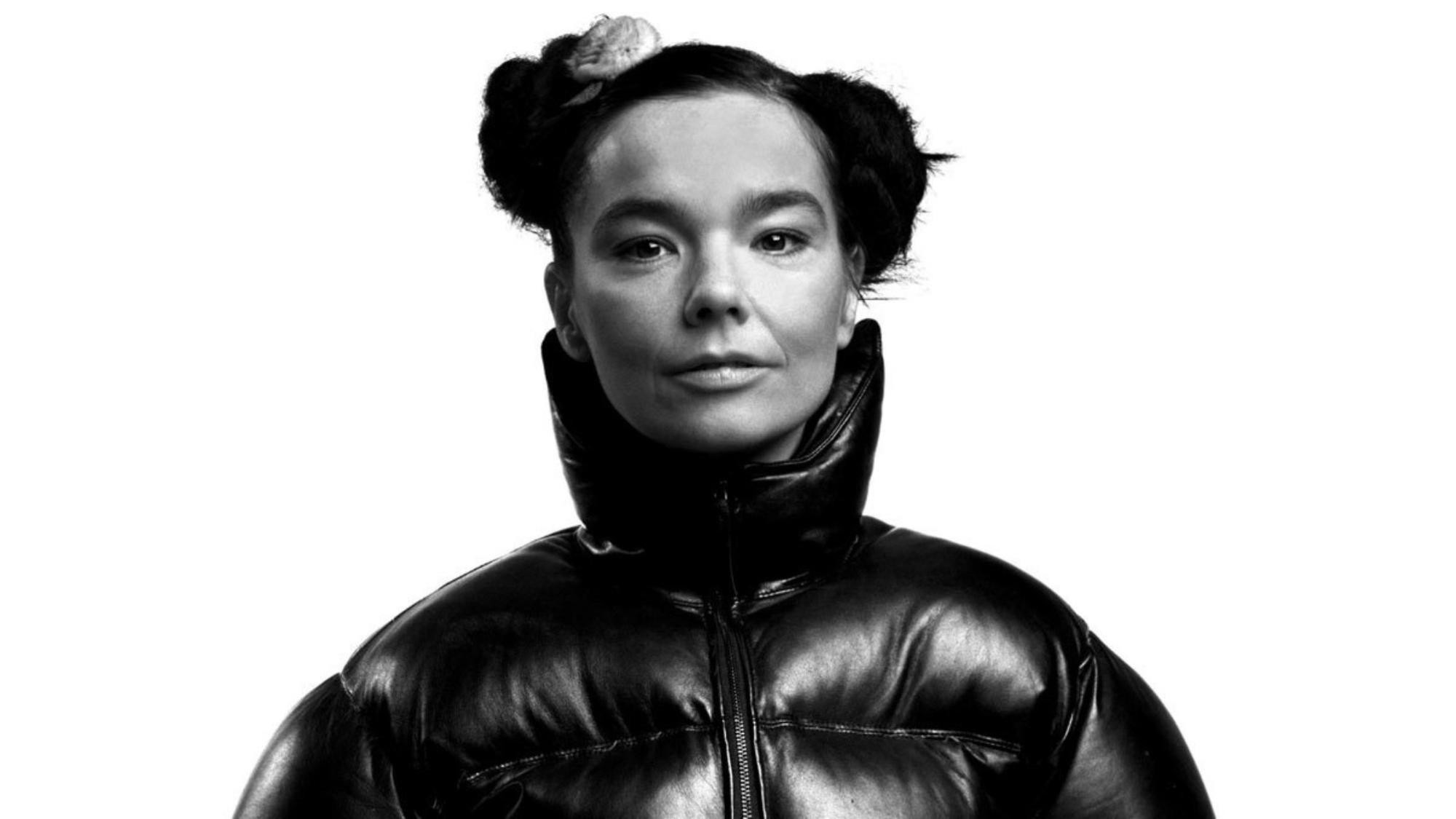 2000x1125 bjork was the most magical reddit ama guest ever