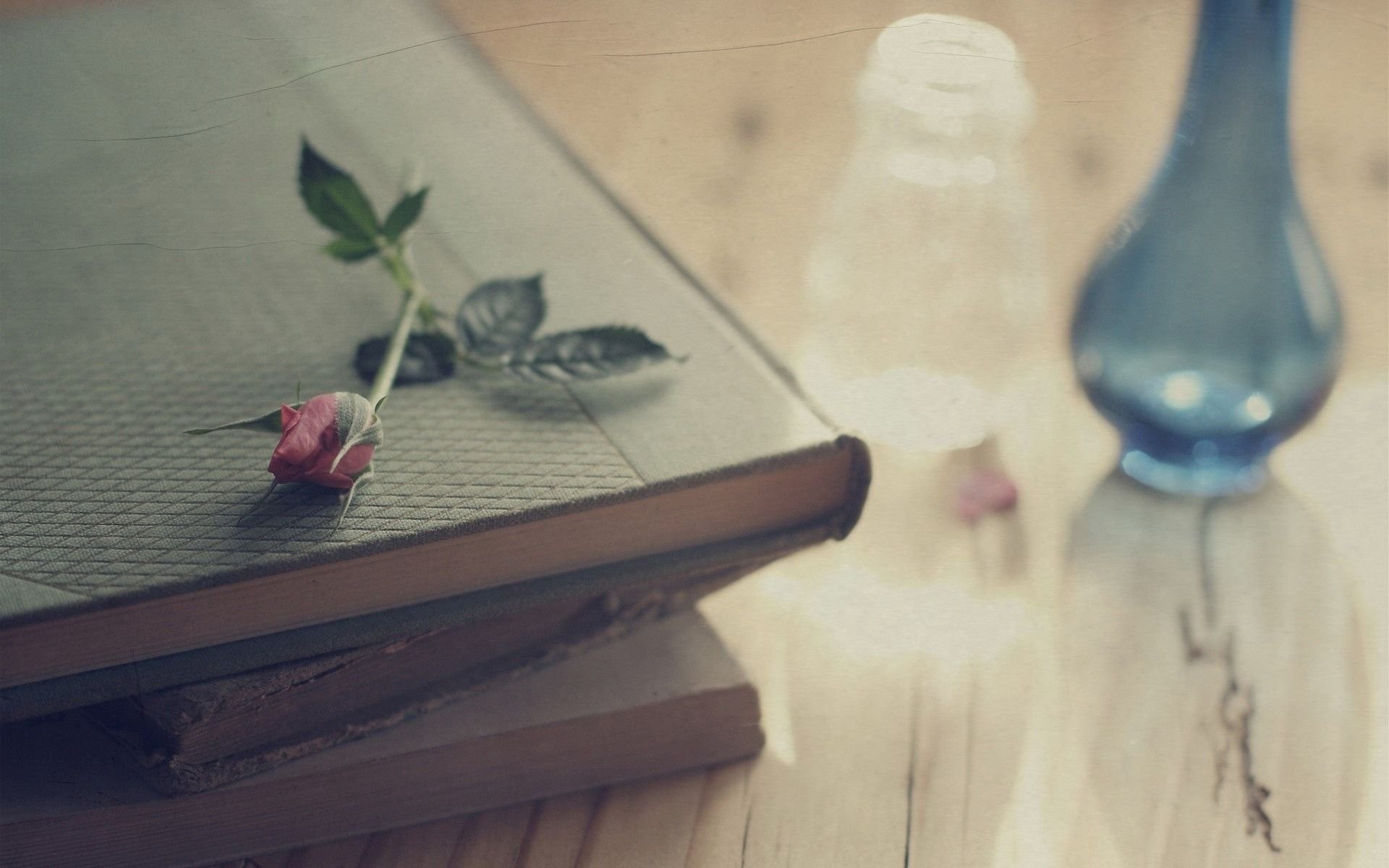 1920x1200 Rose On Old Books